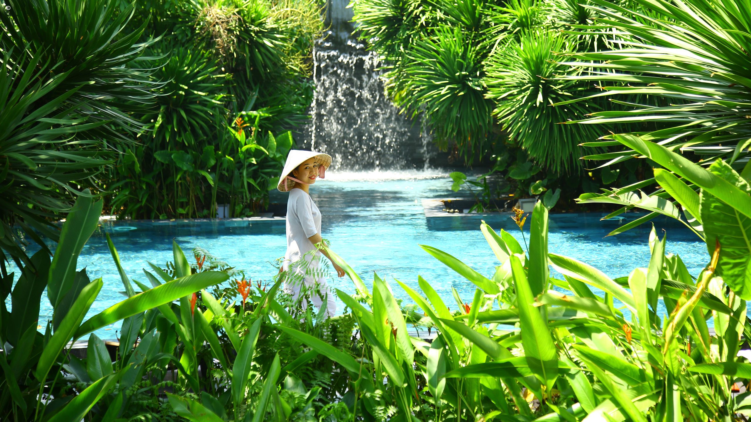 TIA Wellness Resort