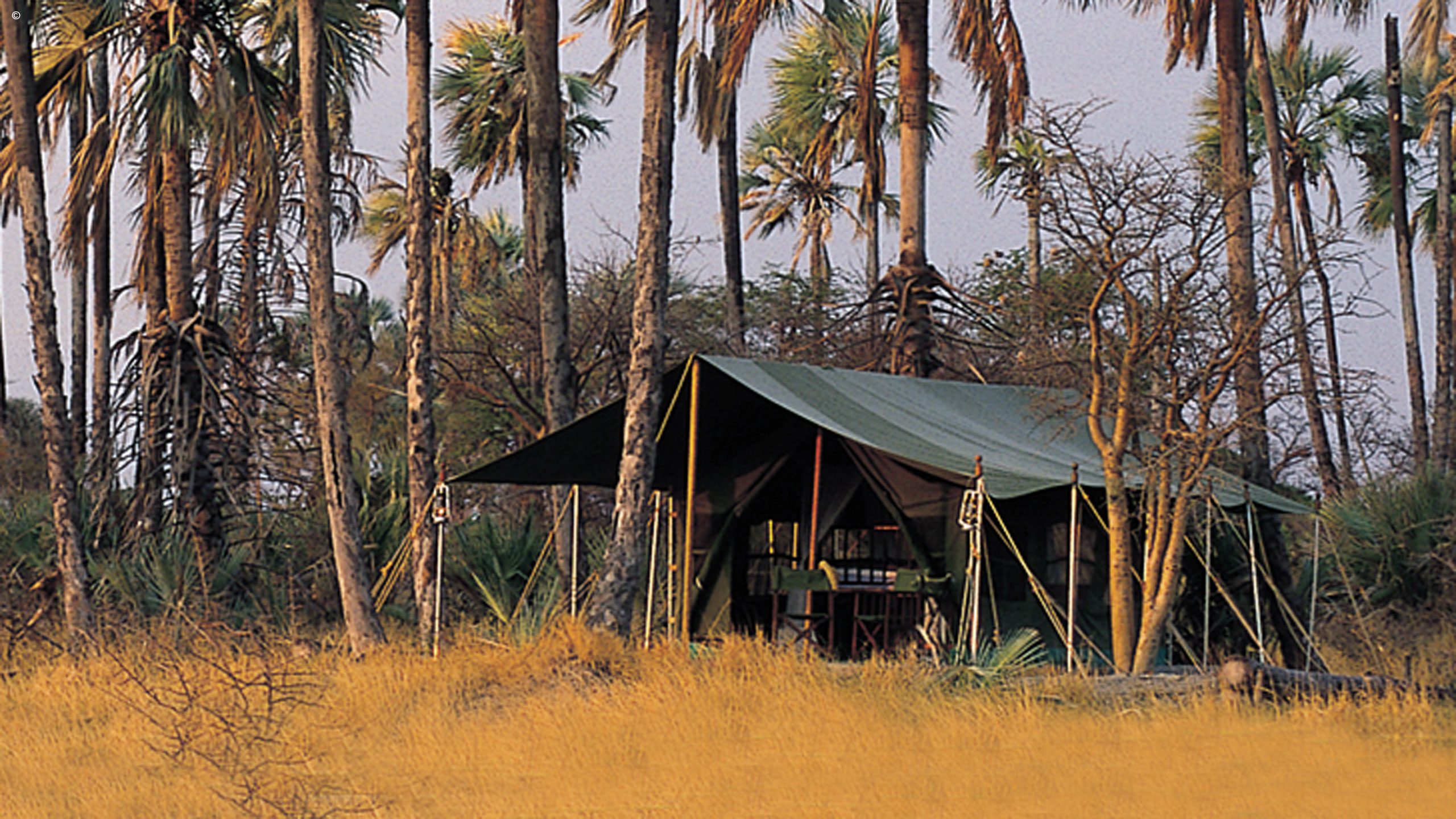 Moremi Mobile Tented Camp