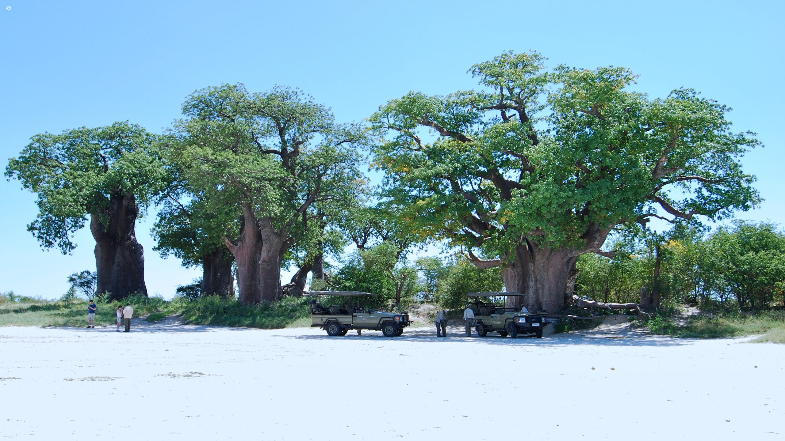 Nxai Pan Camp