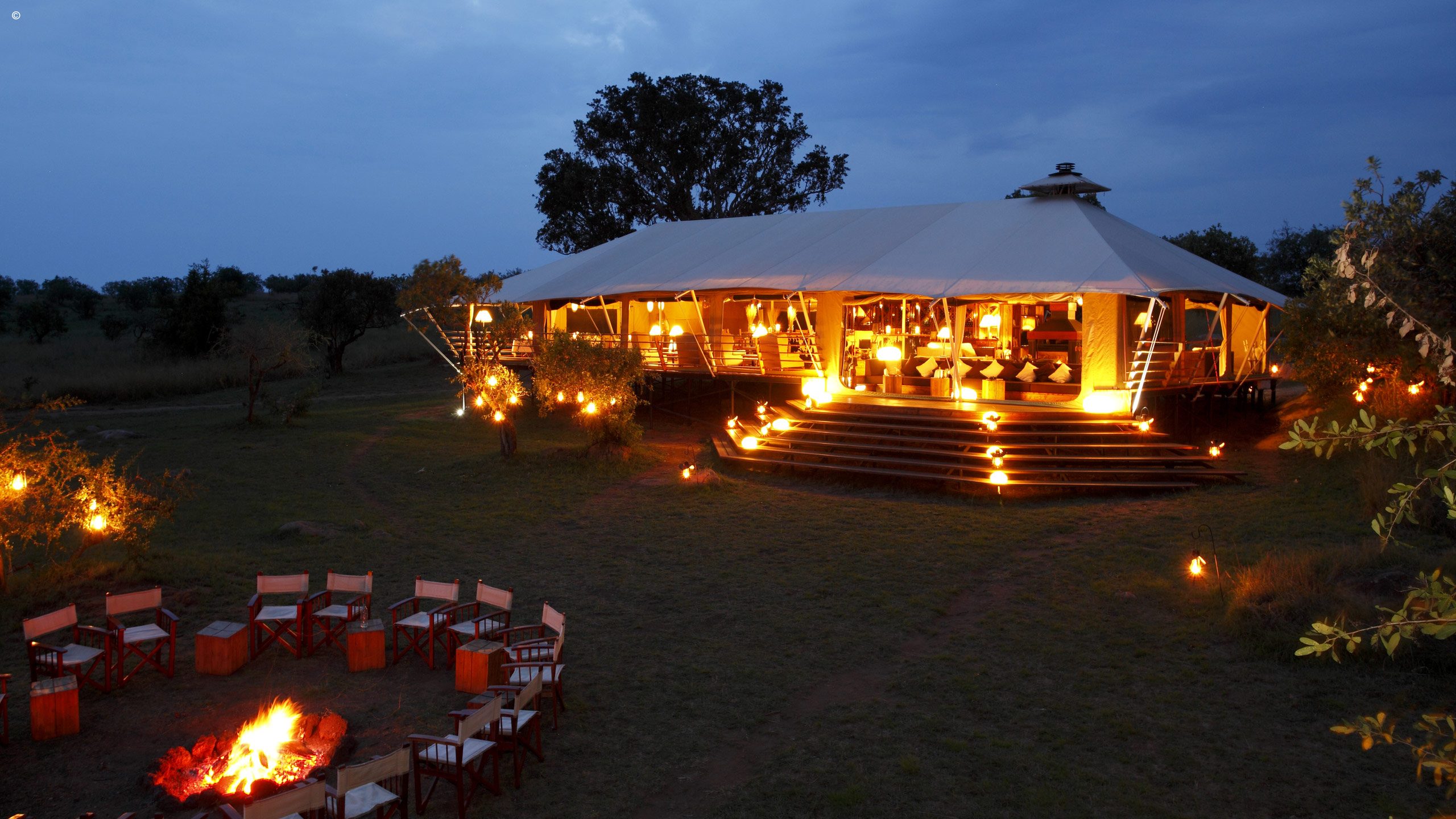 Serengeti Bushtops