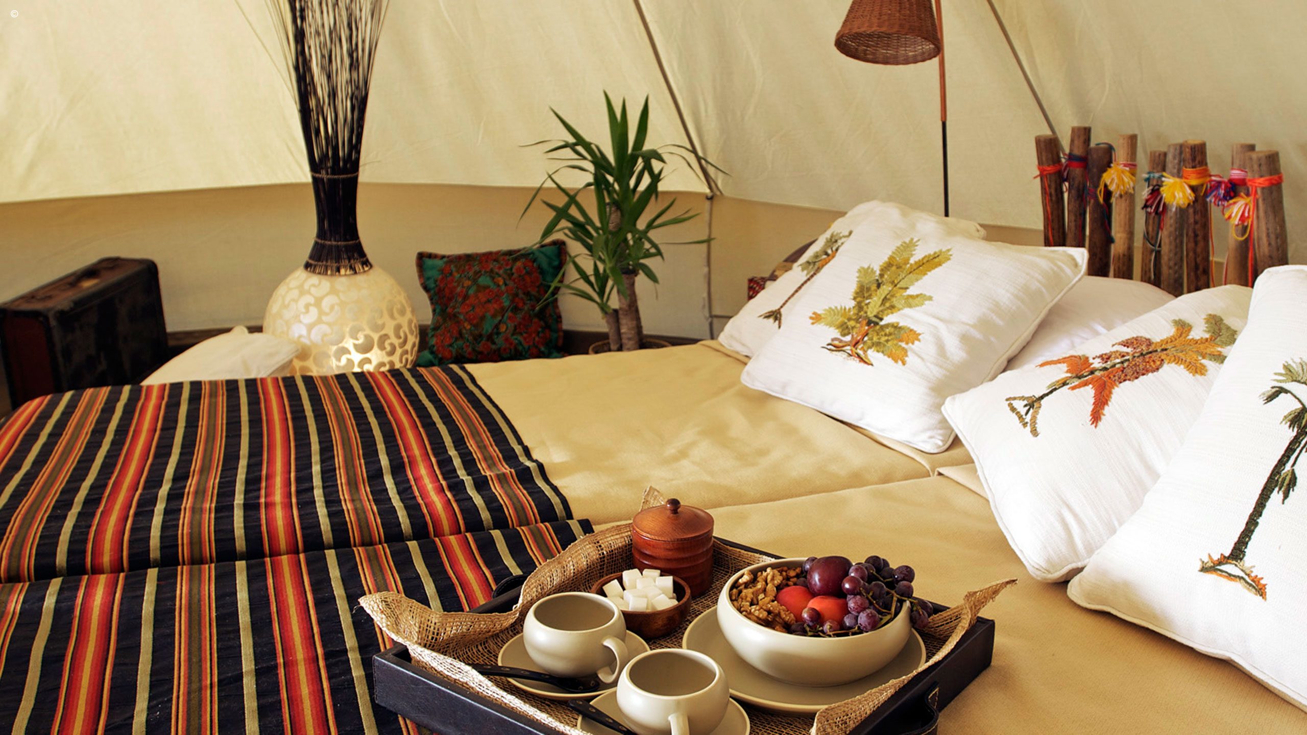 Adventur Camp