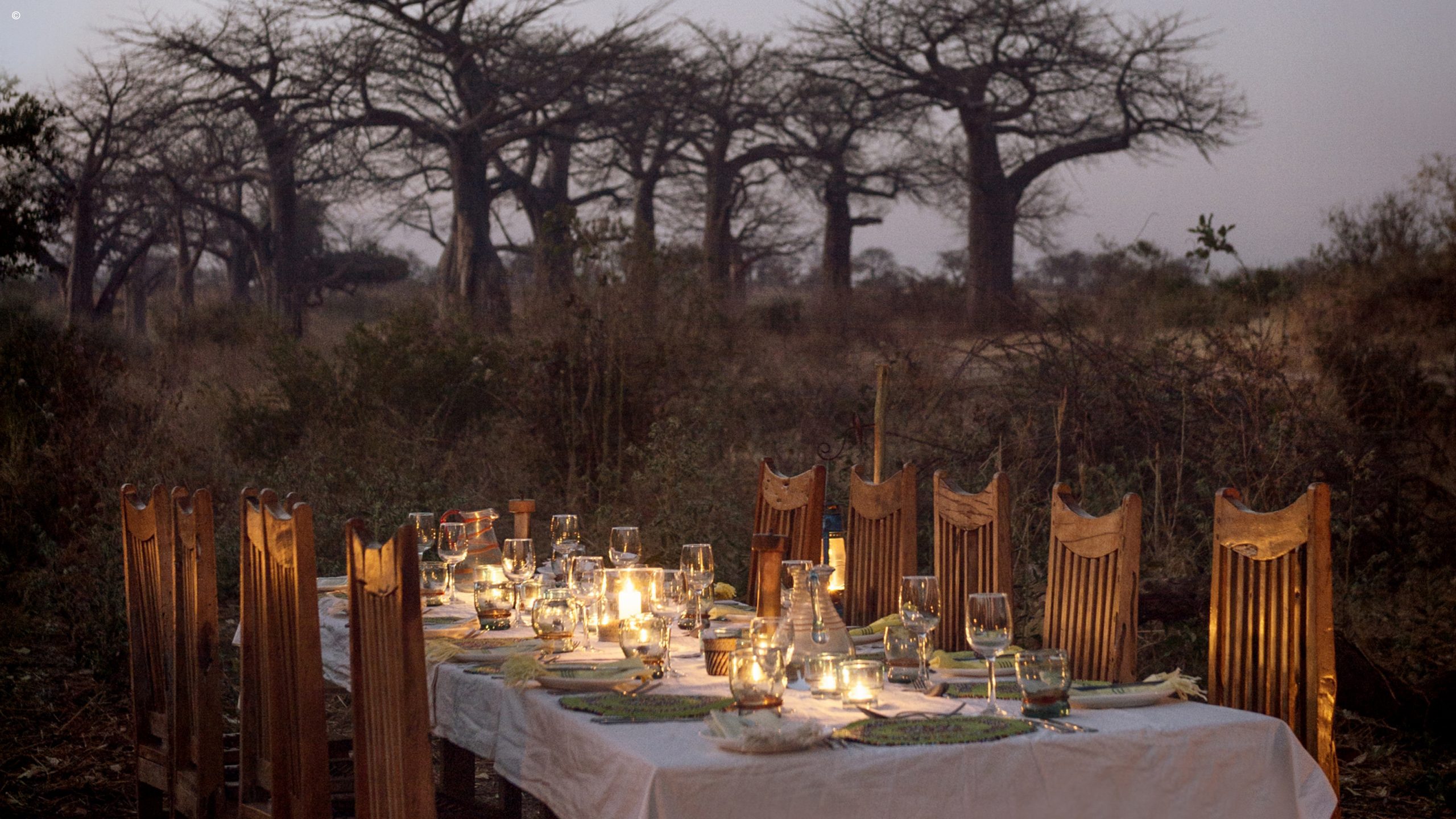 Kigelia Ruaha