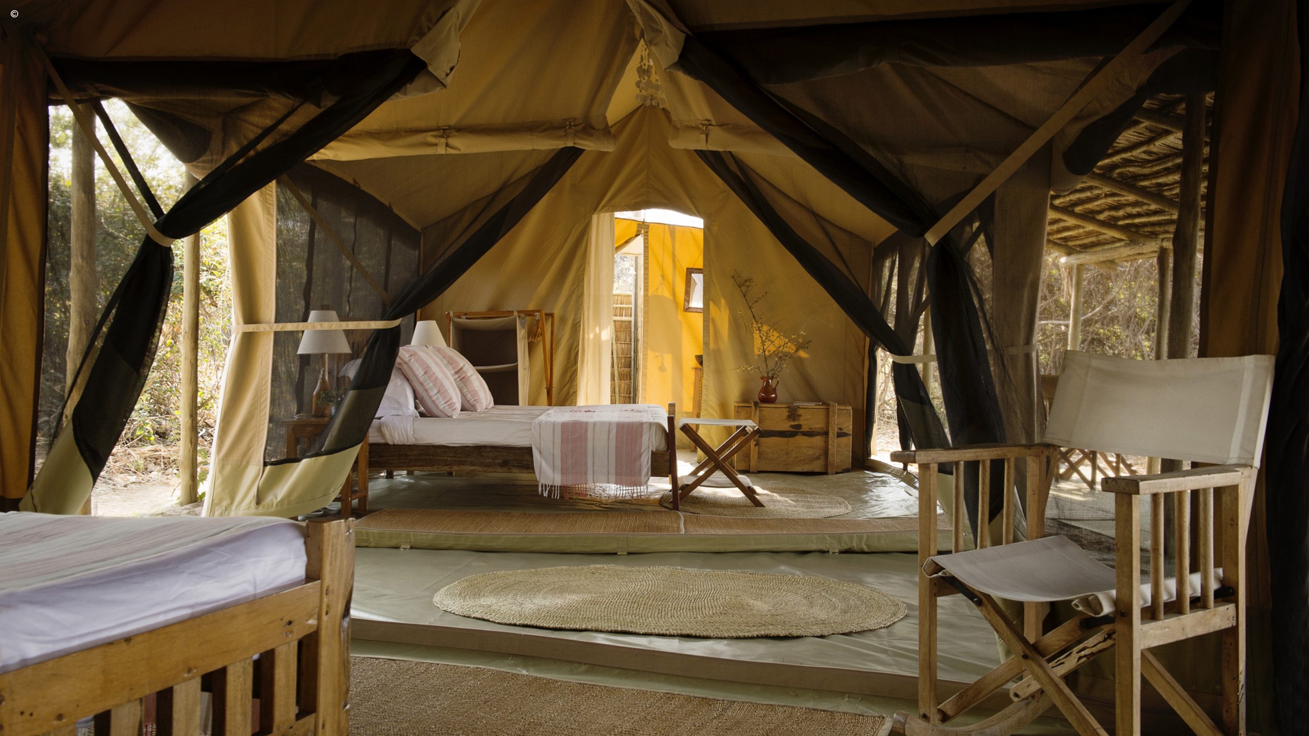 Kigelia Ruaha