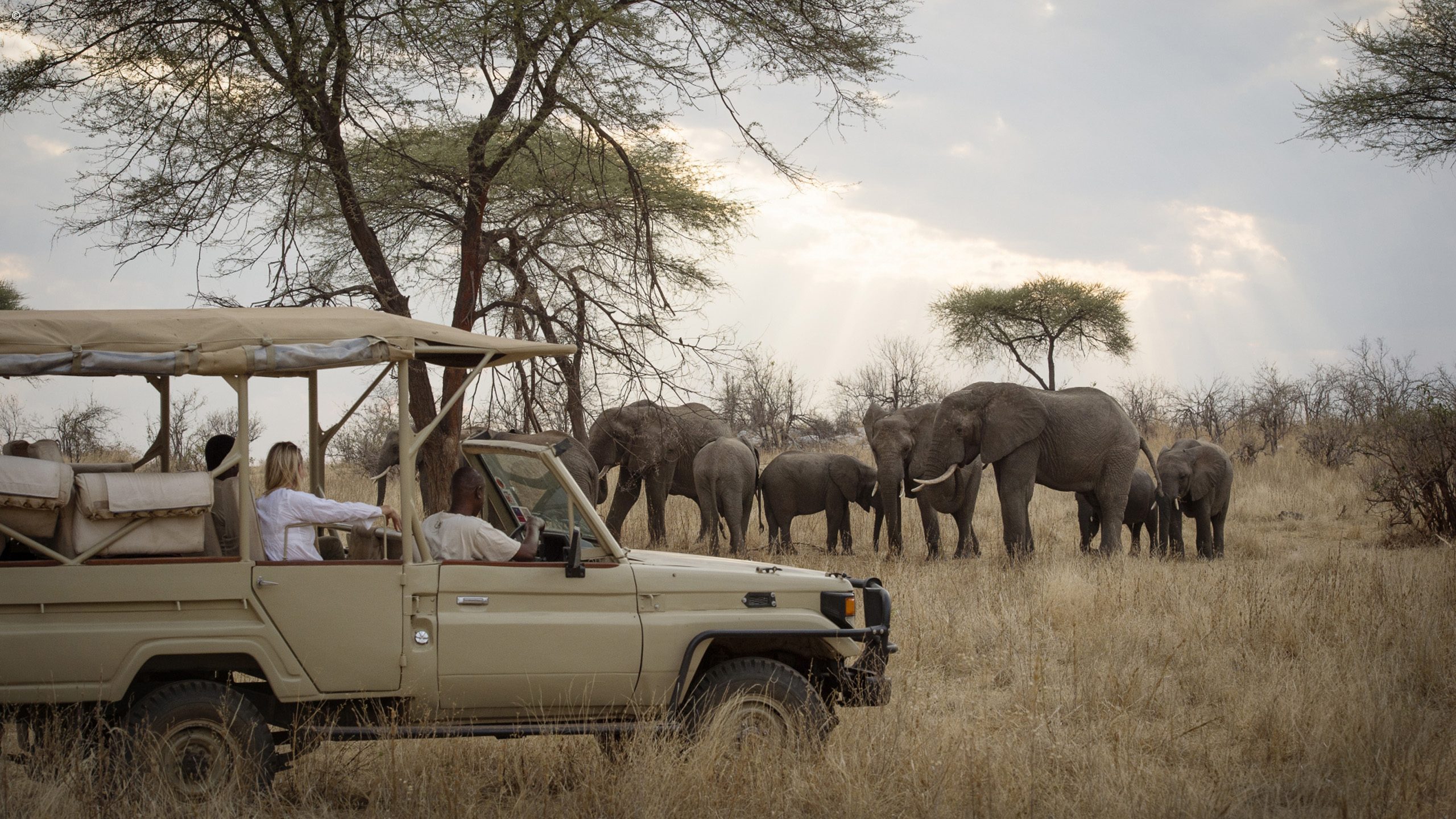 Kigelia Ruaha