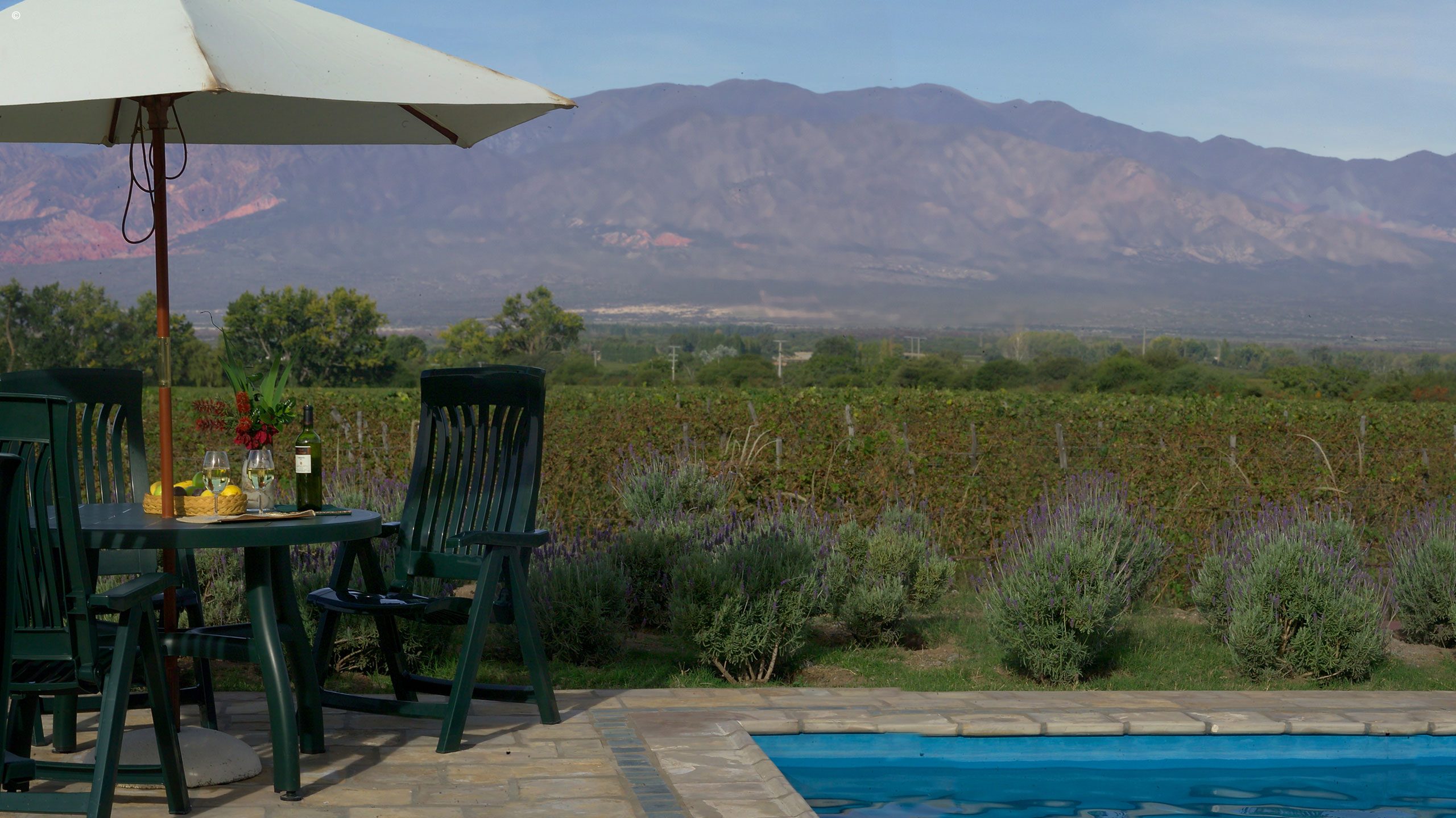 Vinas de Cafayate