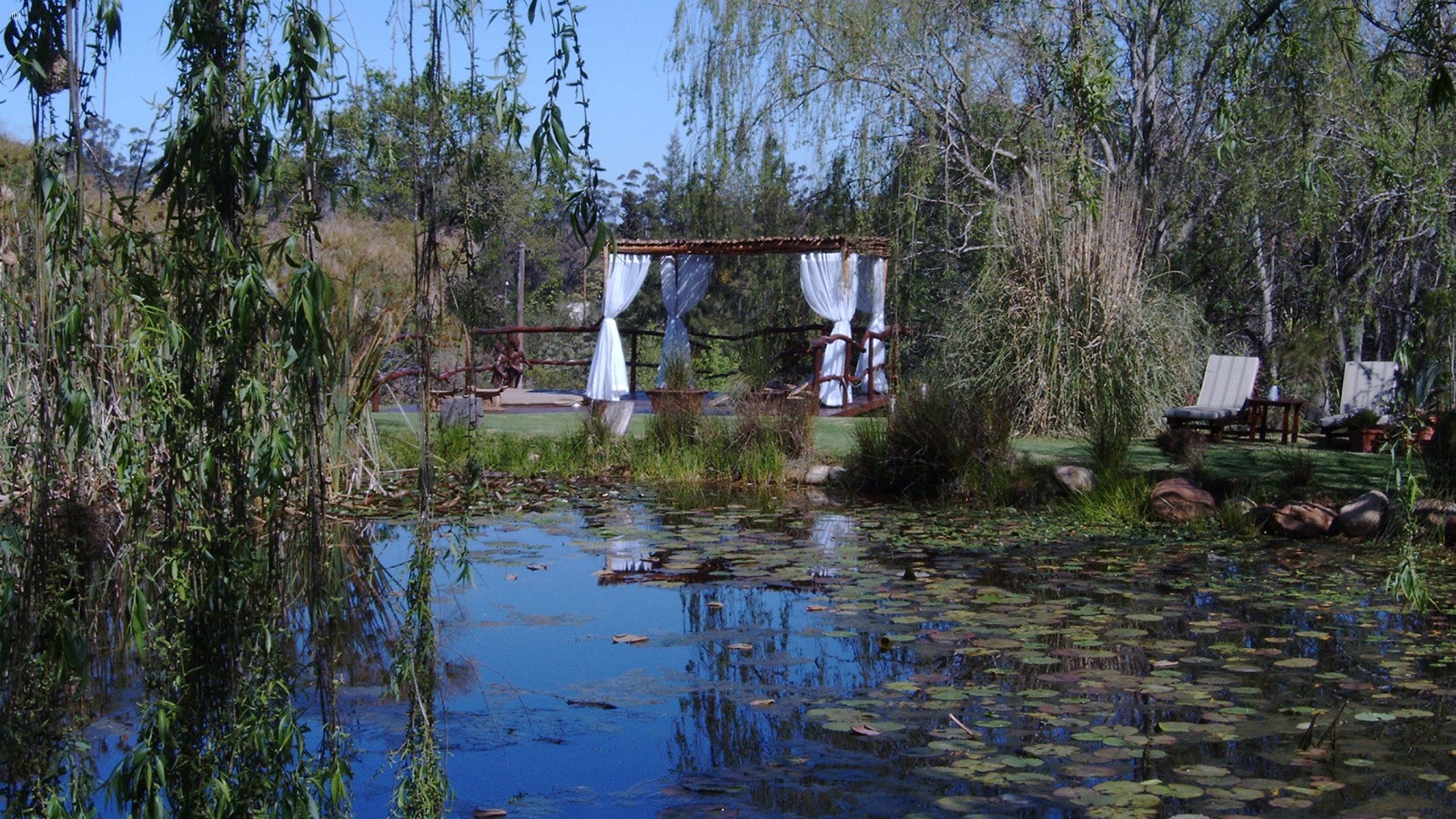 Rothman Manor