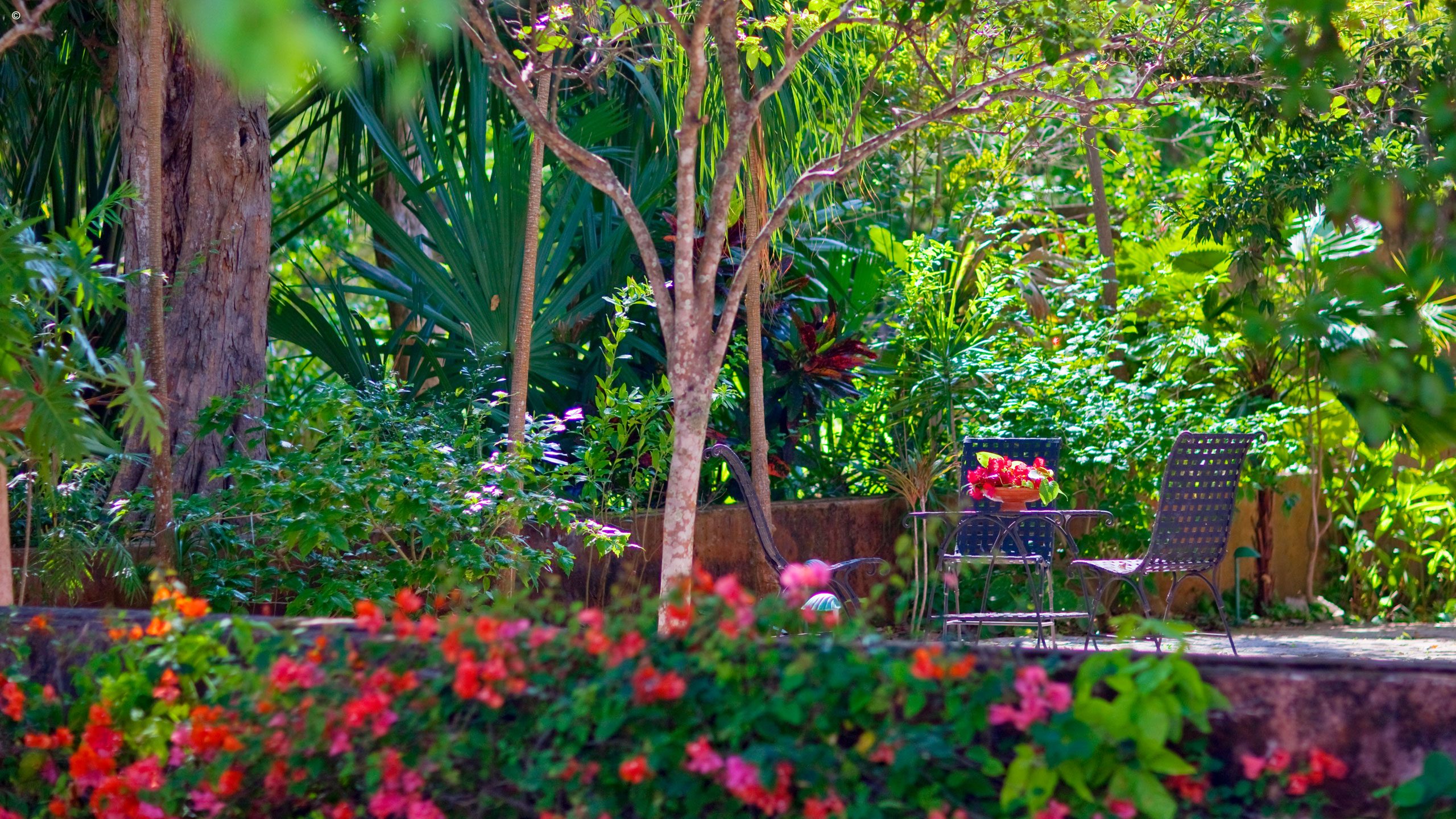 Hacienda Santa Rosa