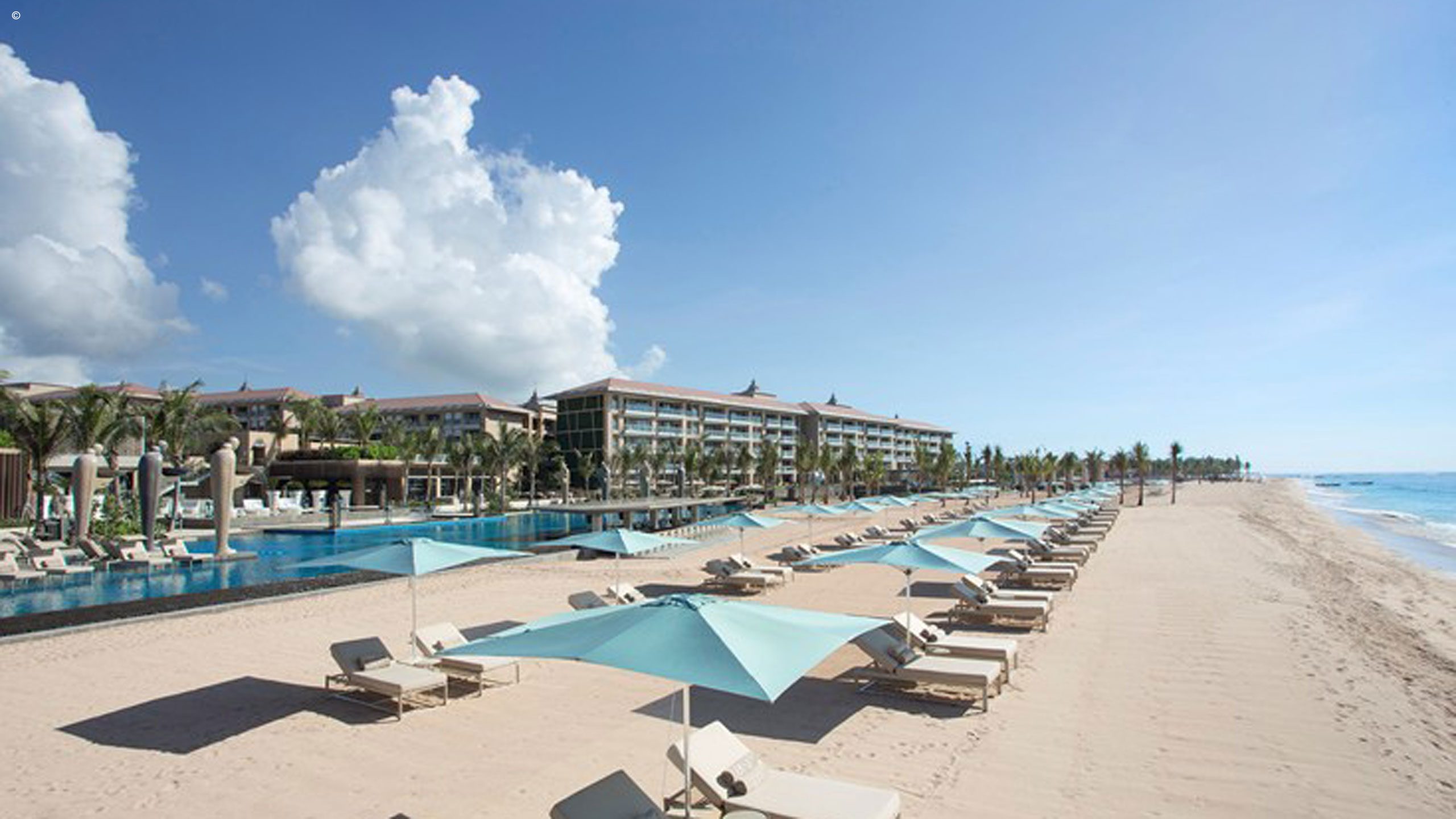 The Mulia