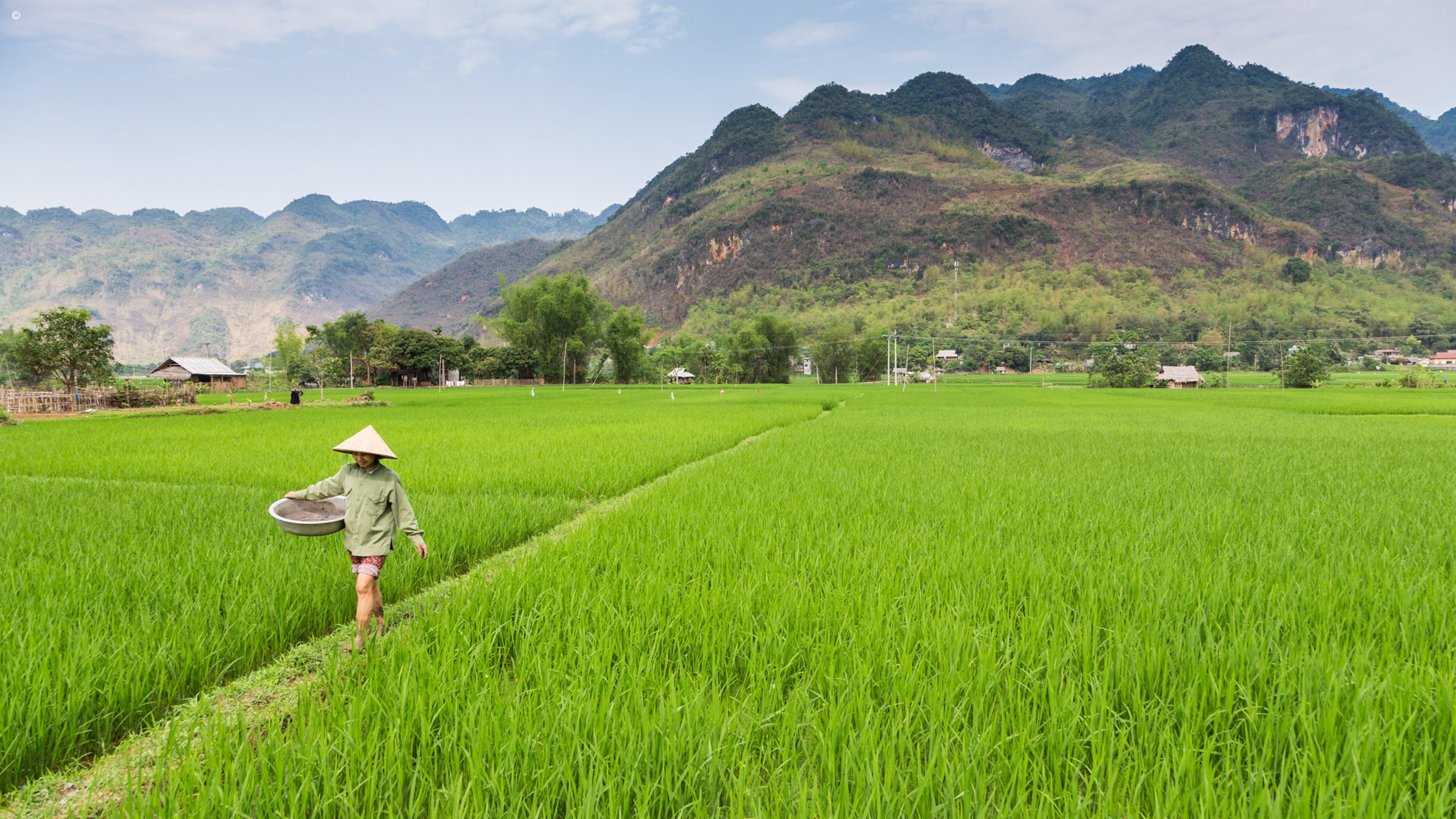 Mai Chau Ecolodge