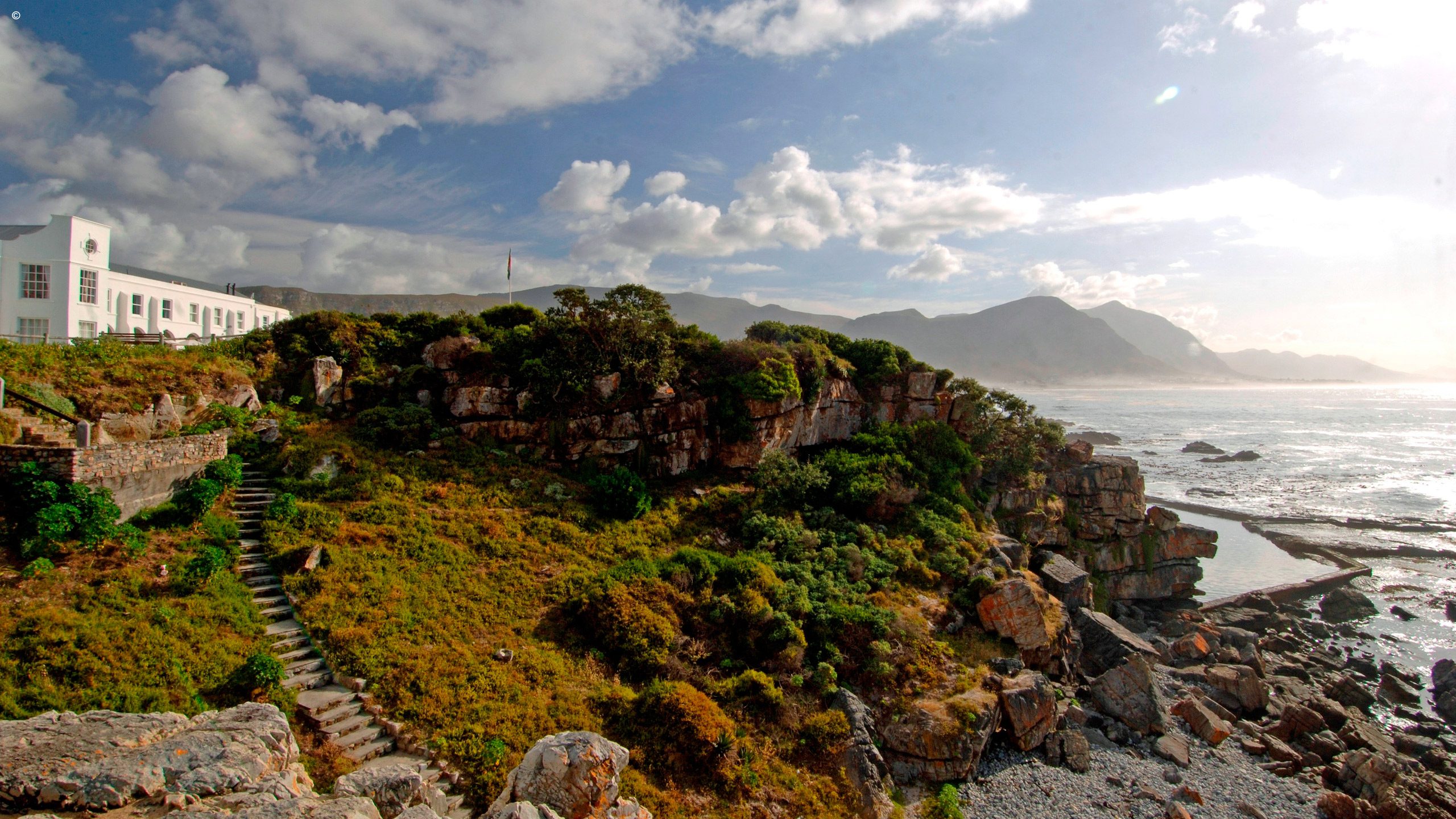 Marine Hermanus