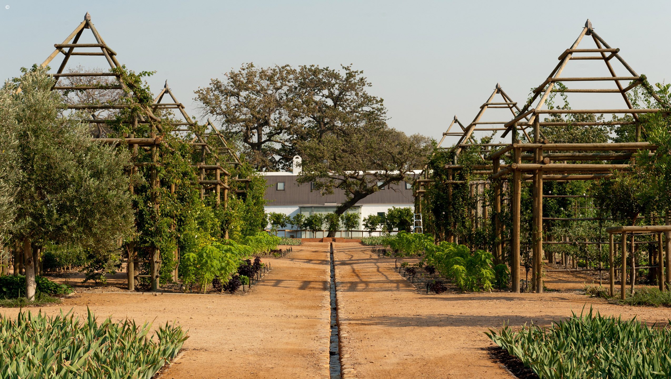Babylonstoren