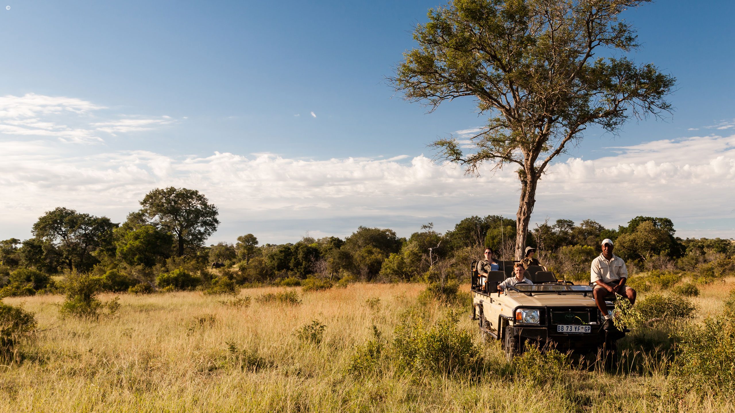 Tintswalo Safari Lodge