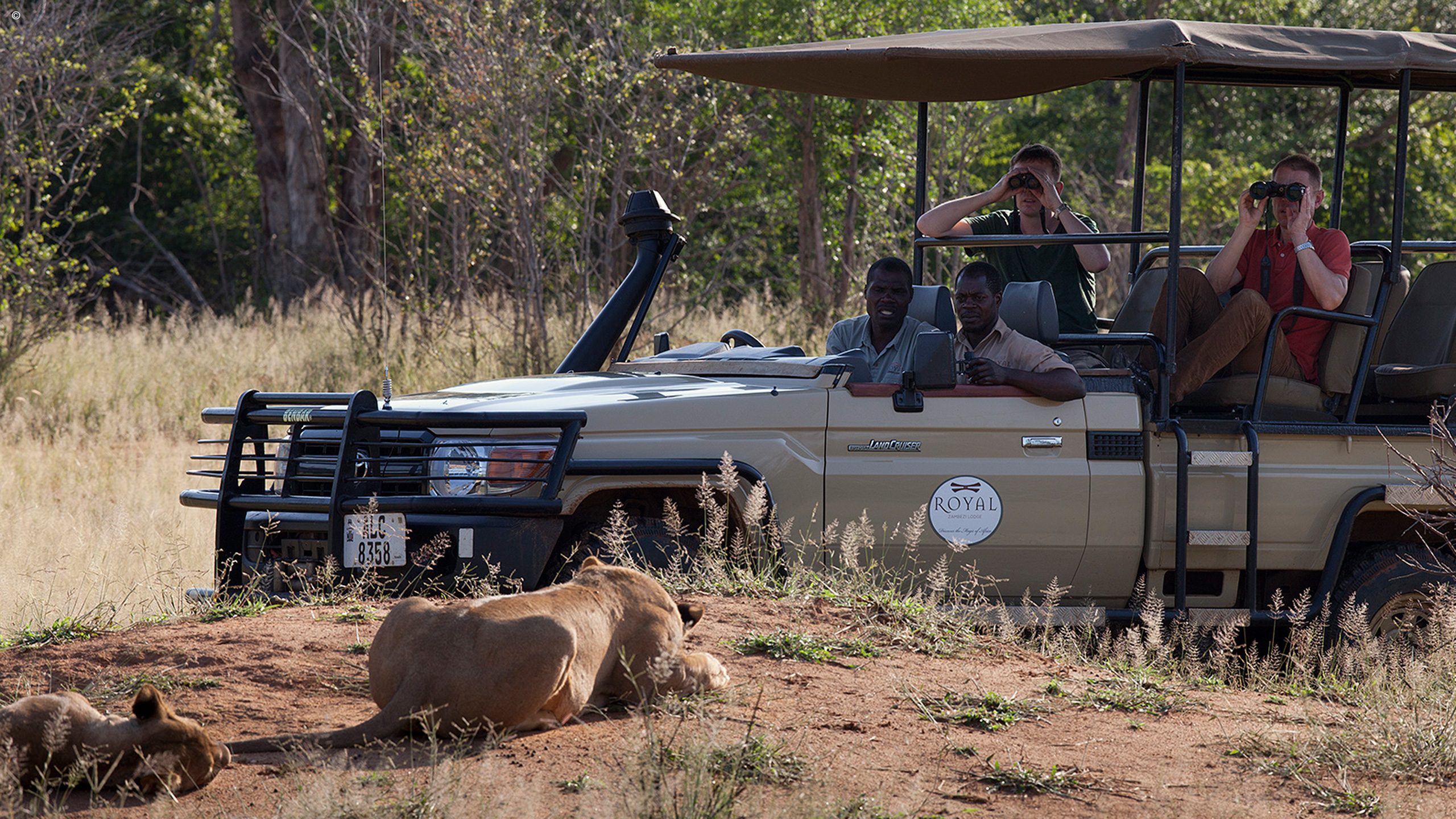 Royal Zambezi Lodge