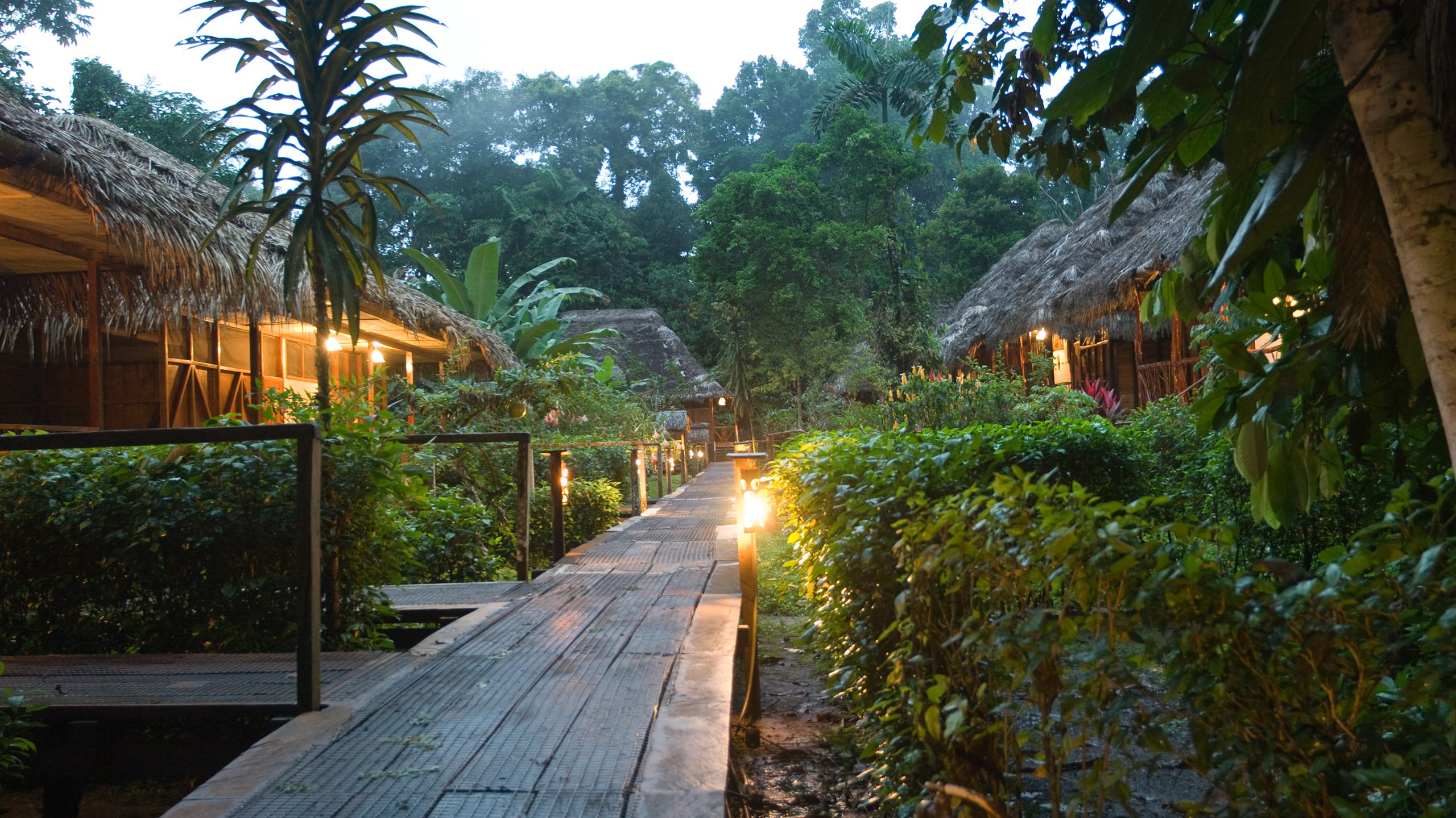 Sacha Lodge
