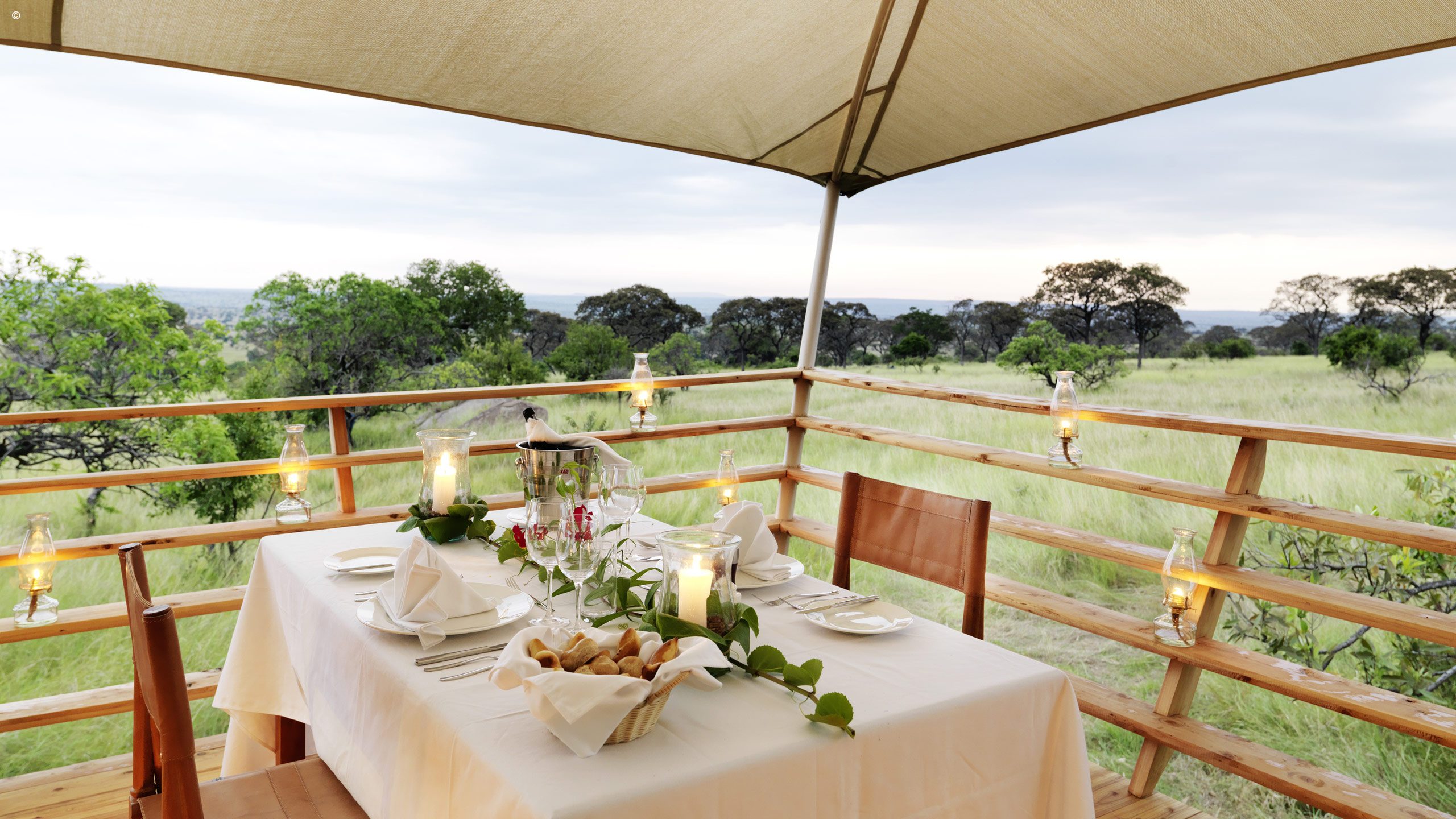Serengeti Bushtops