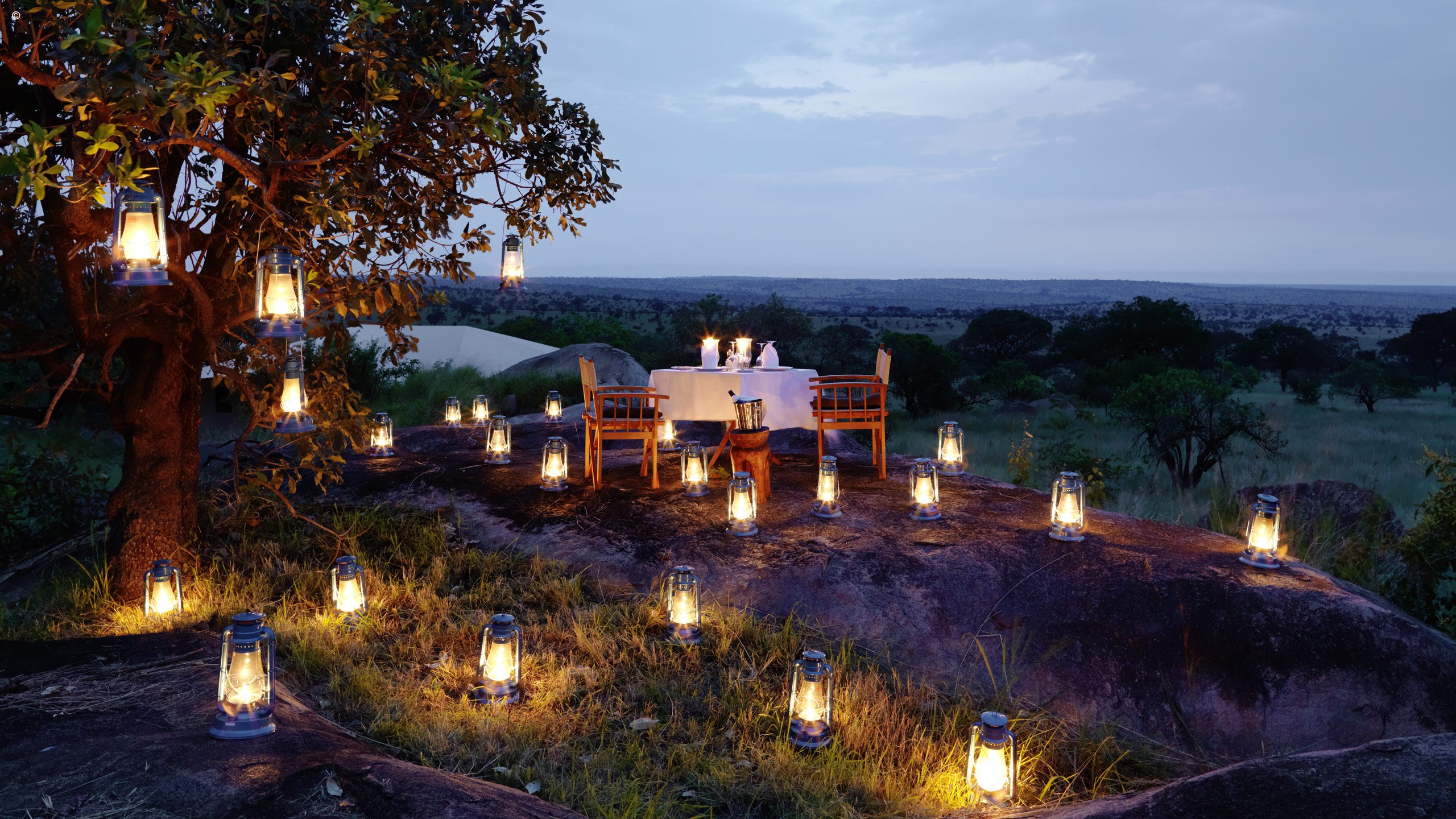 Serengeti Bushtops
