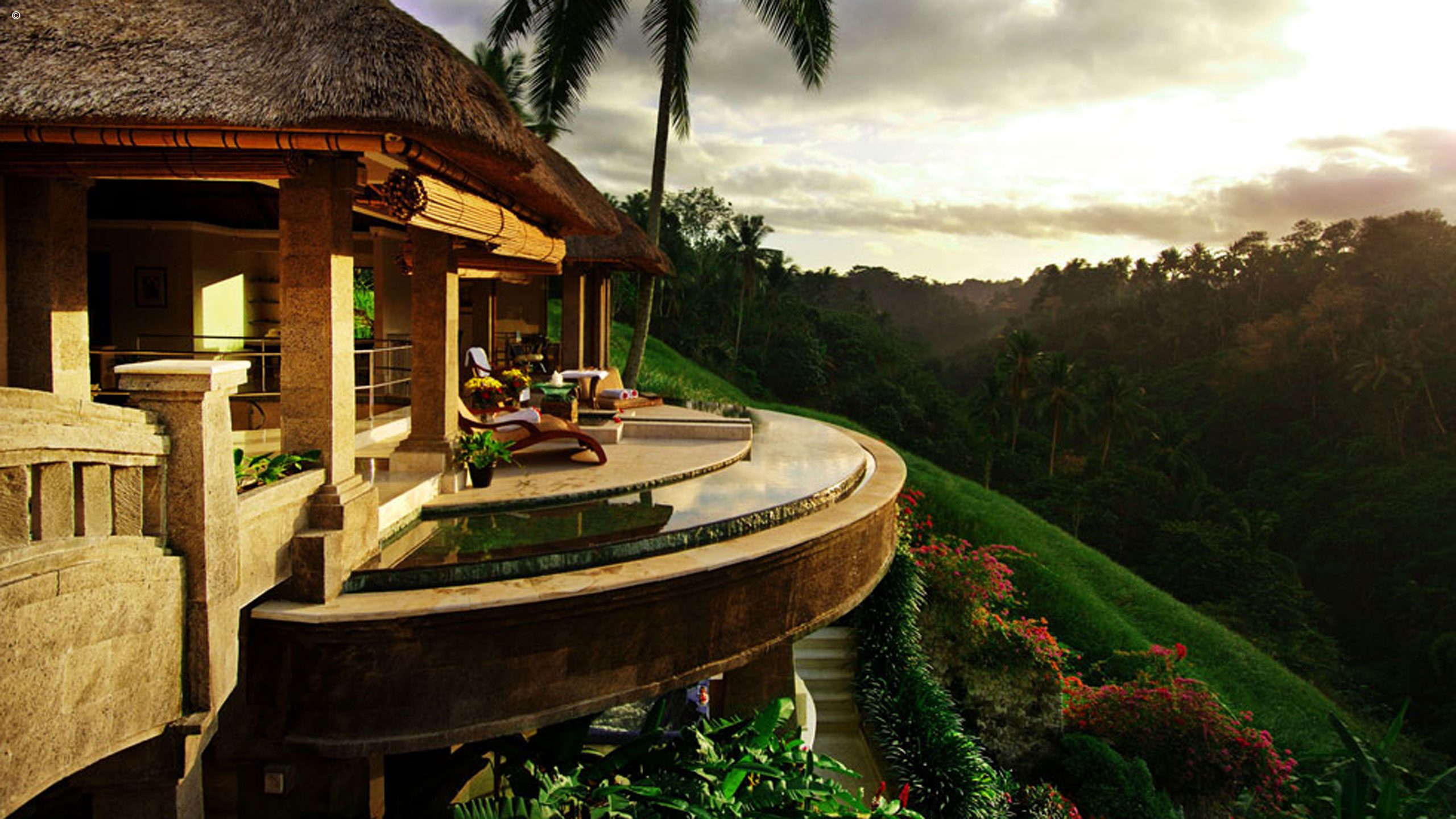 The Viceroy