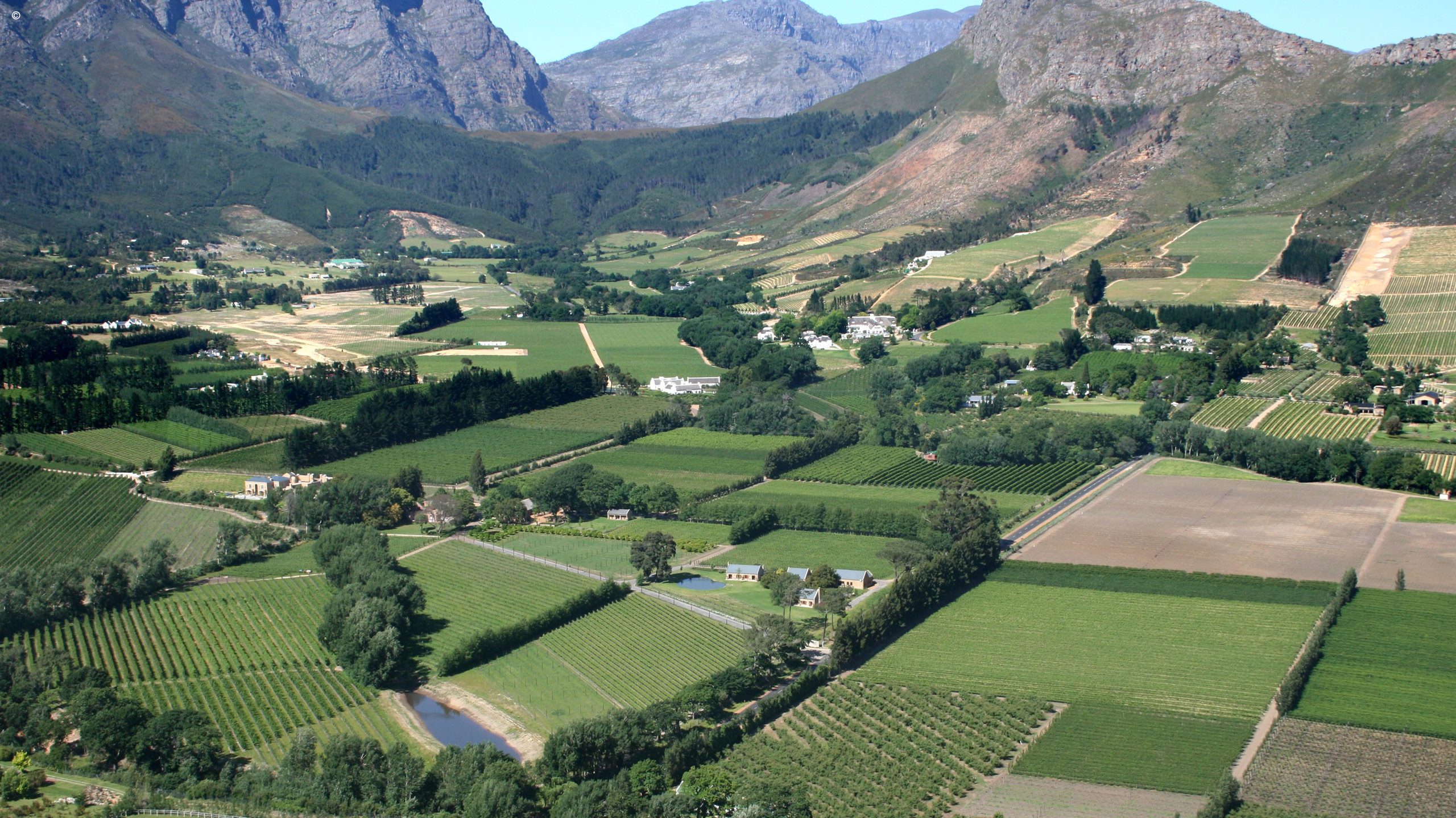 La Petite Dauphine