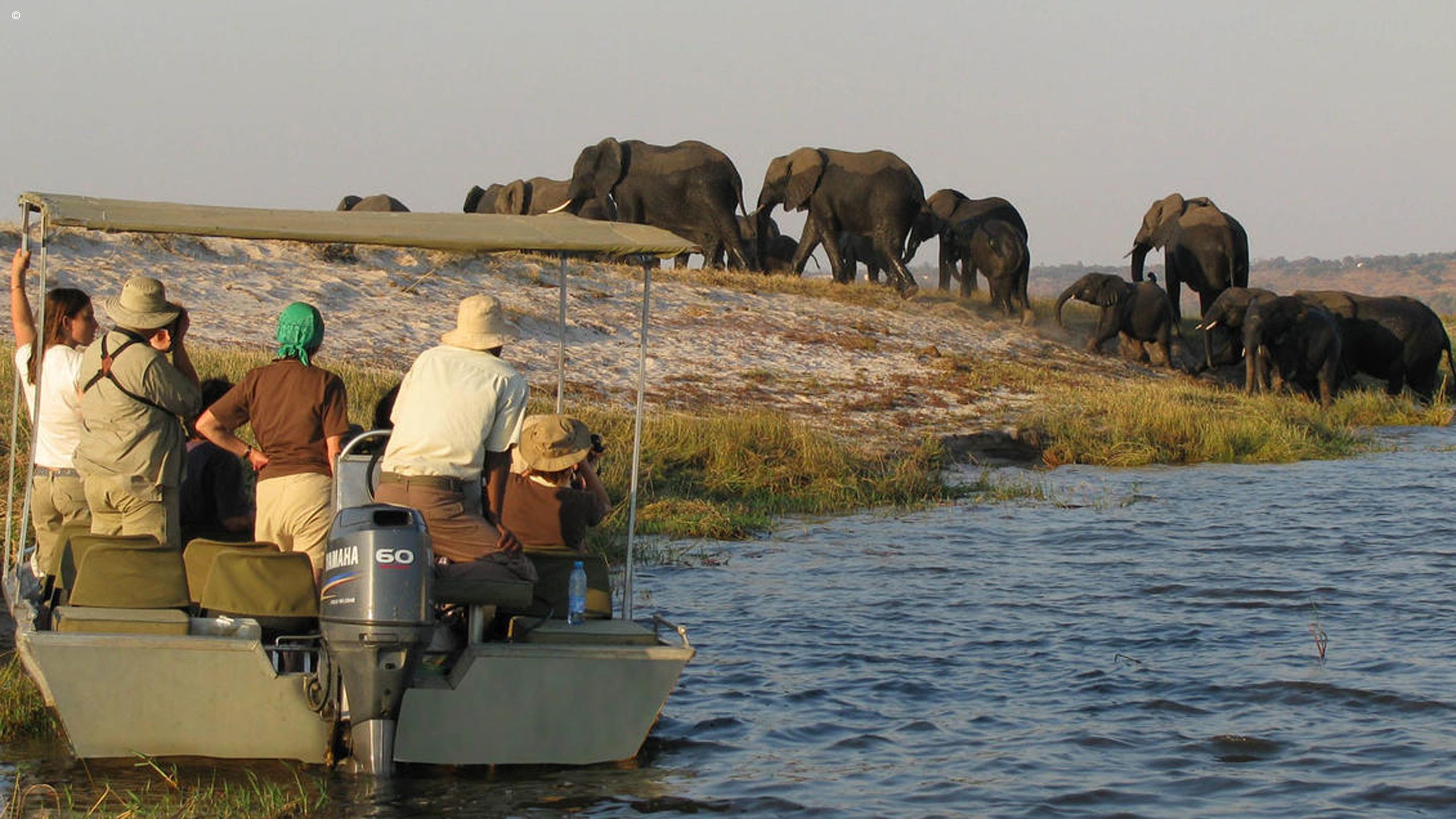 Zambezi Queen