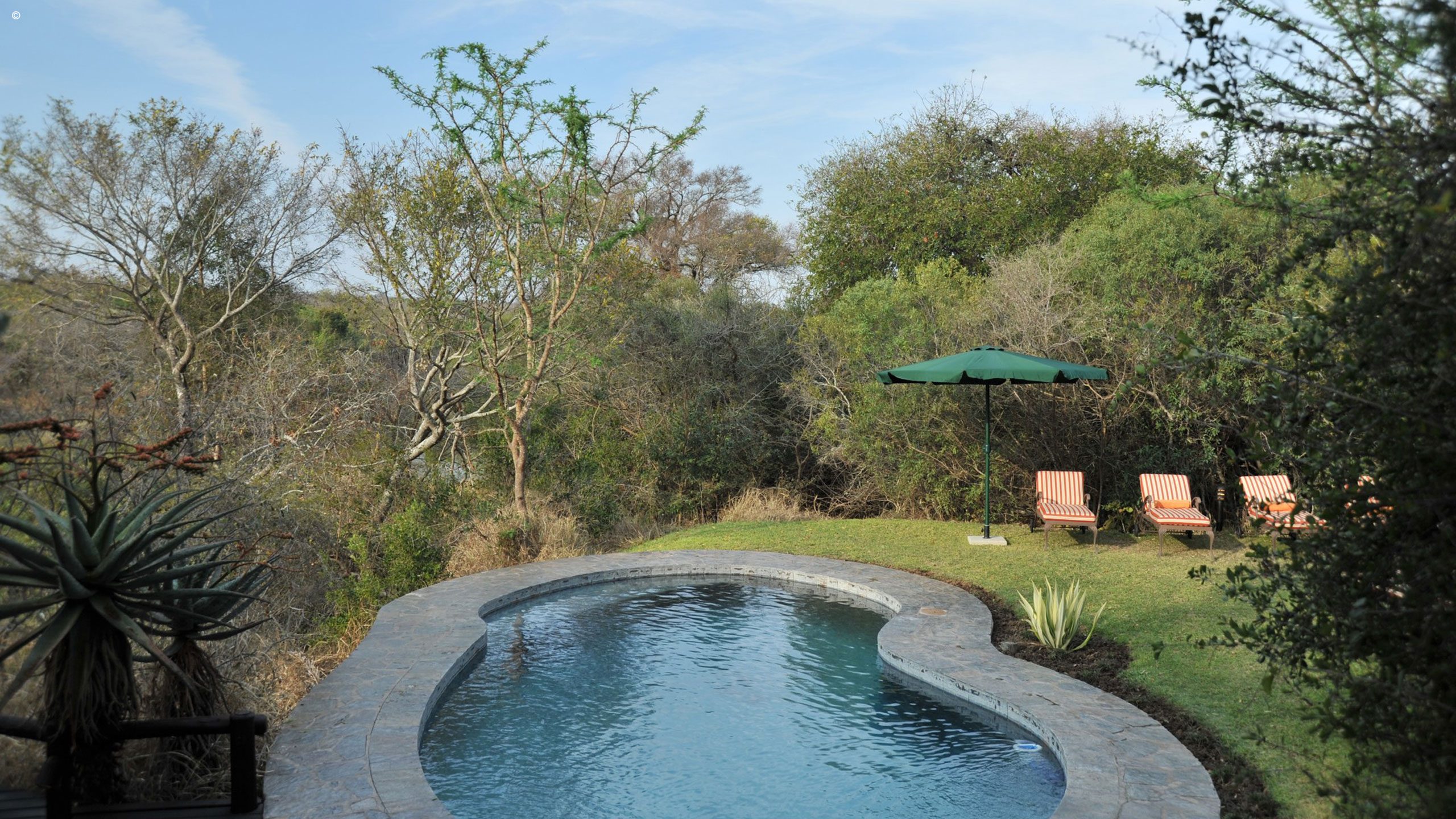 Thornybush Waterbuck Lodge