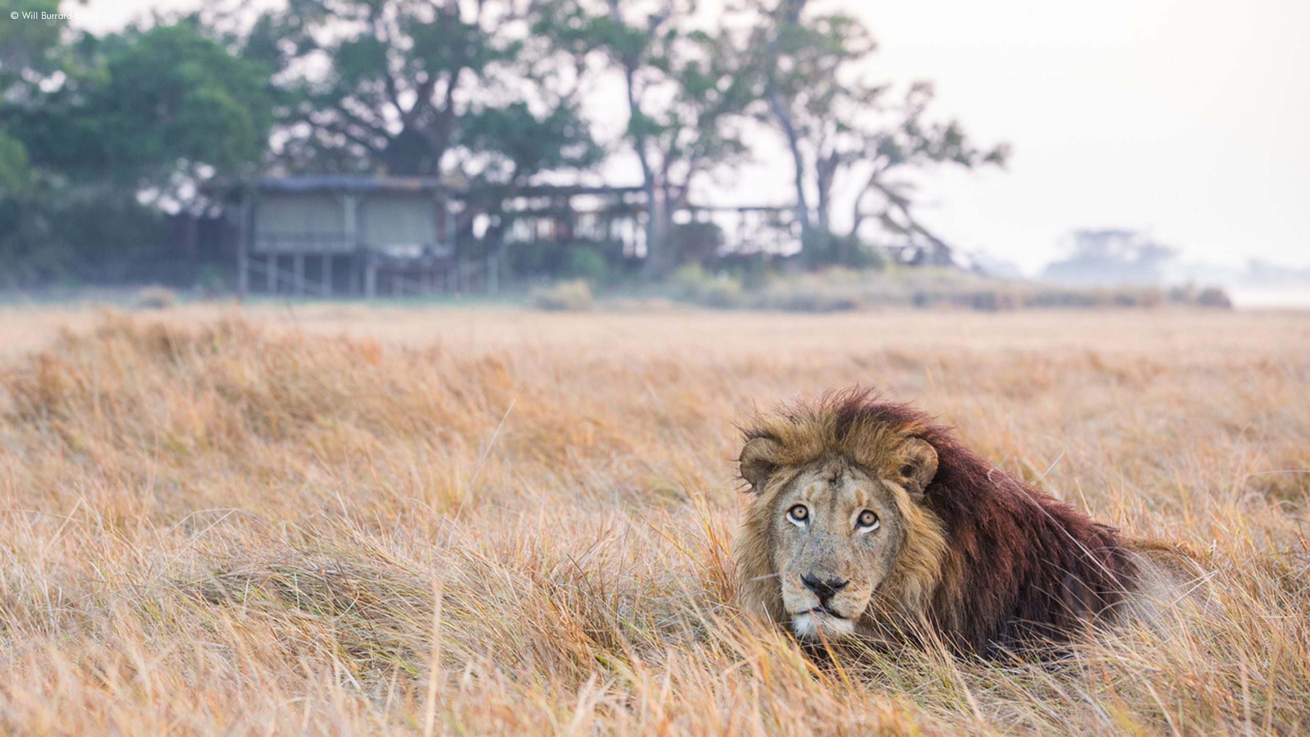 Wilderness Shumba Camp
