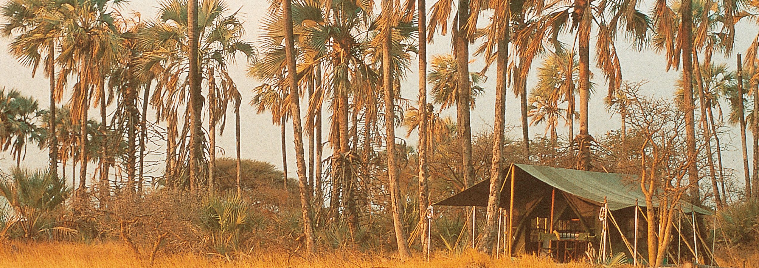 Okavango Delta Mobile Camp