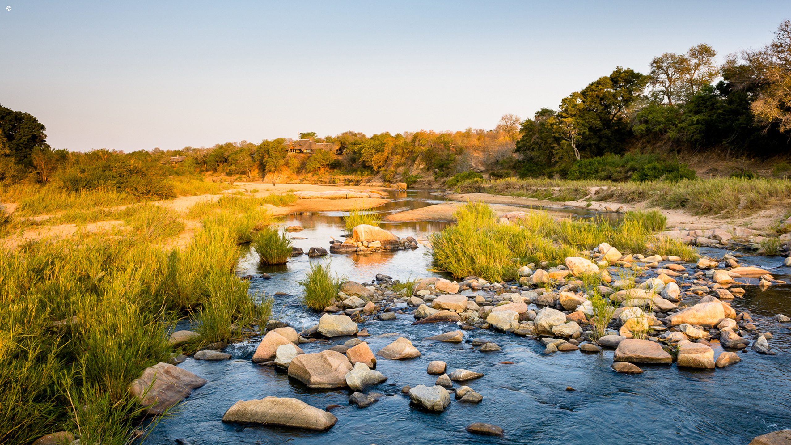 Singita Ebony Lodge