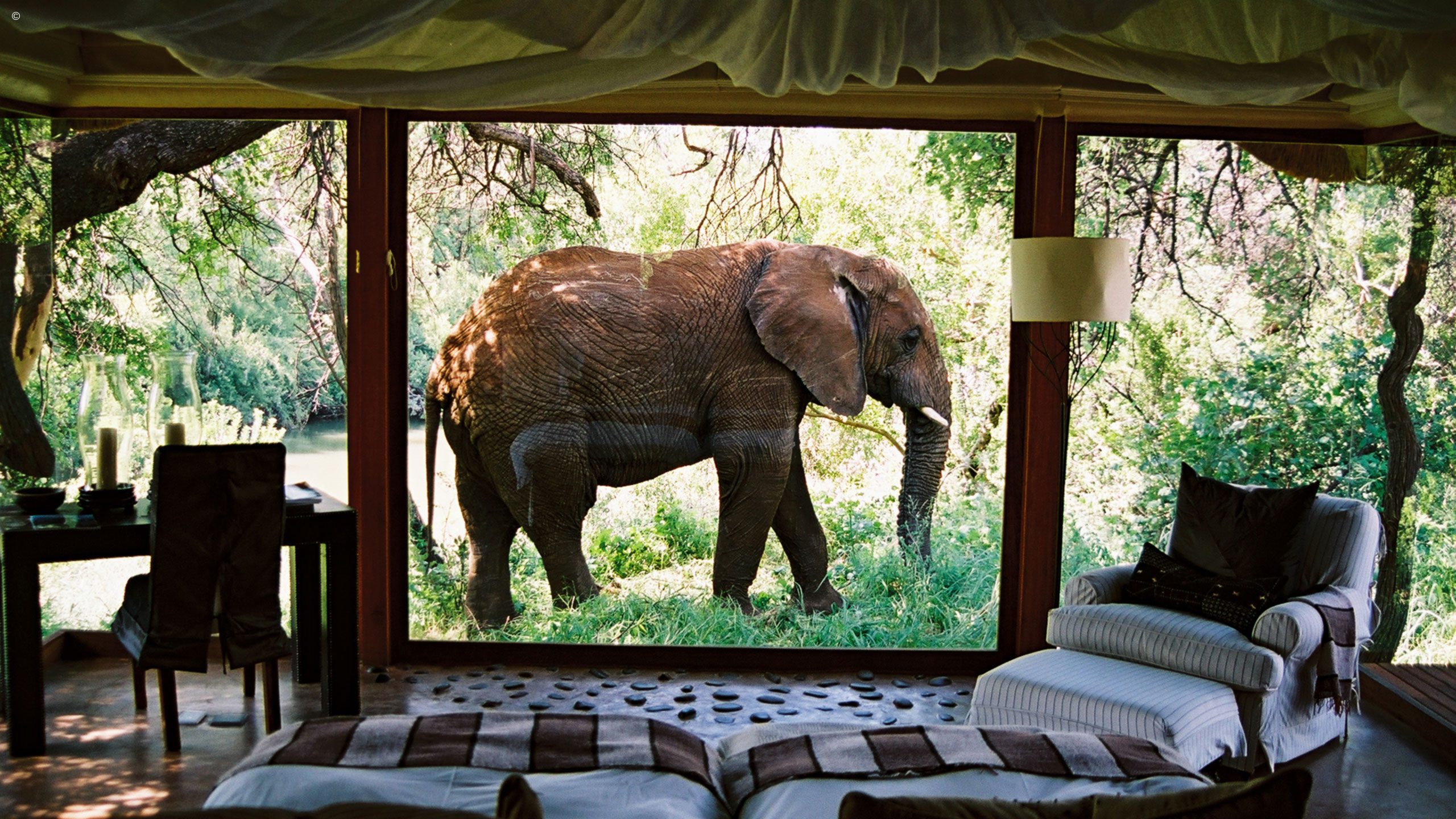 Sanctuary Makanyane Safari Lodge