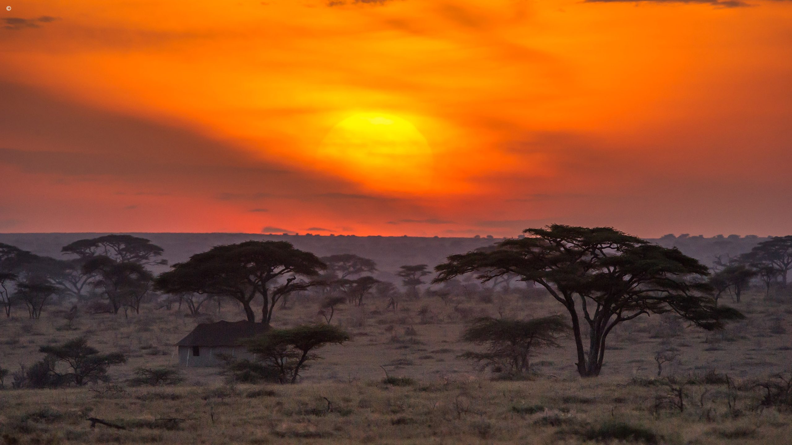 Namiri Plains