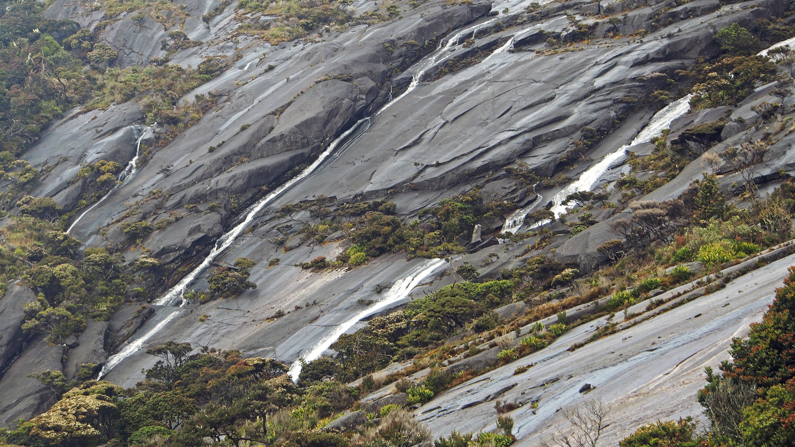 Mount Kinabalu Climb