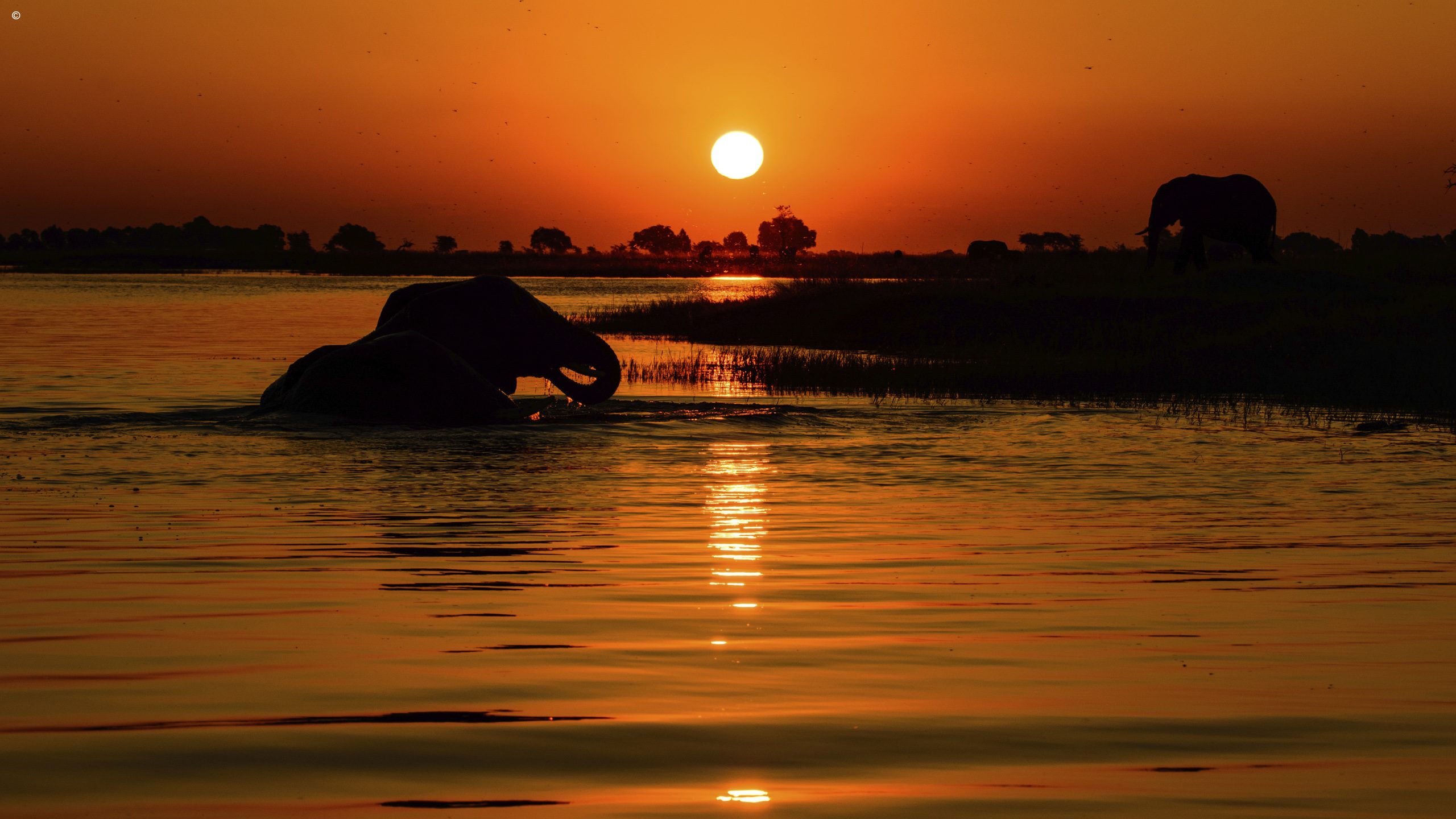 Zambezi Queen