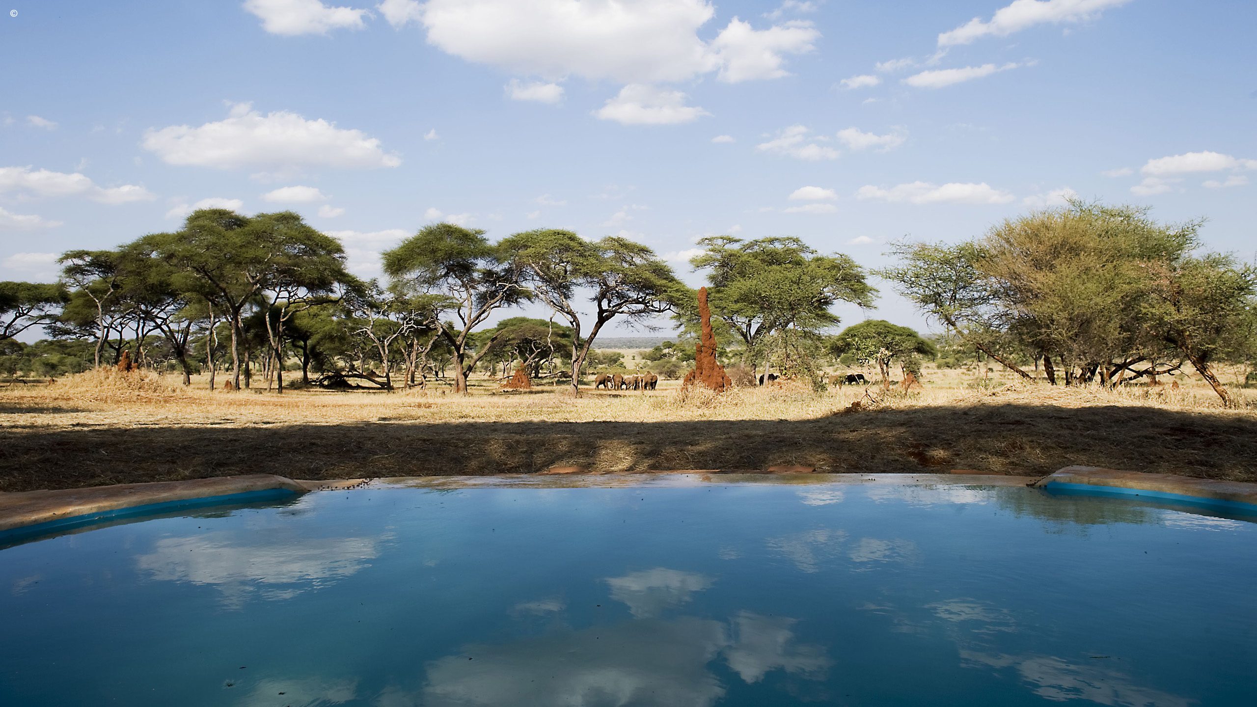 Sanctuary Swala Camp