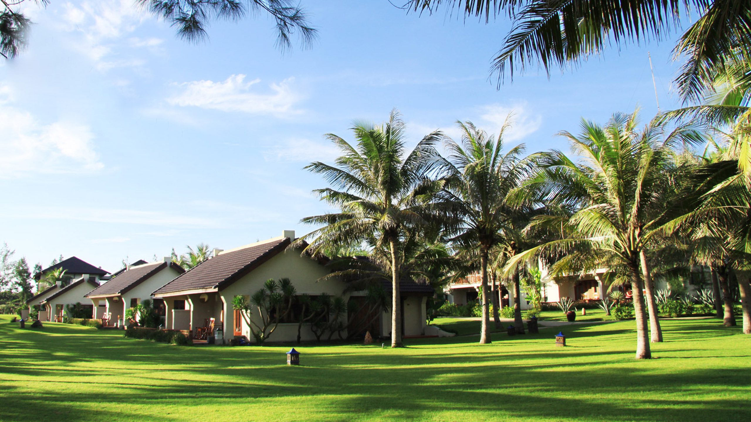 Palm Garden