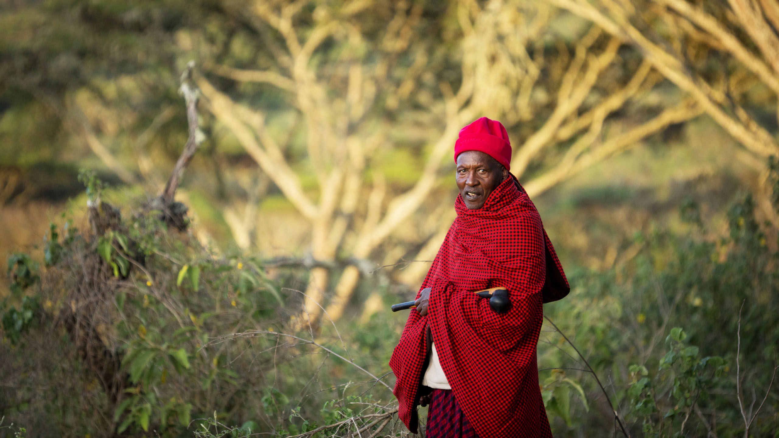 Lemala Ngorongoro