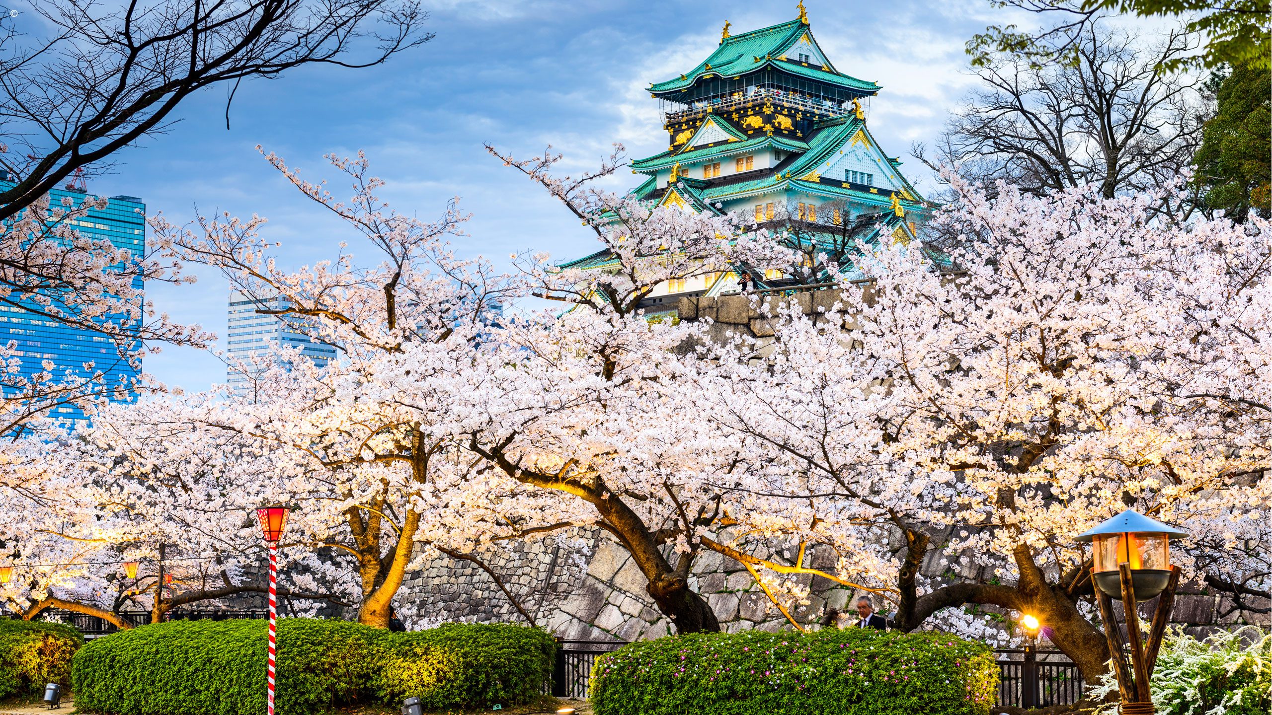 When is the best time to visit Japan? - Jacada Travel