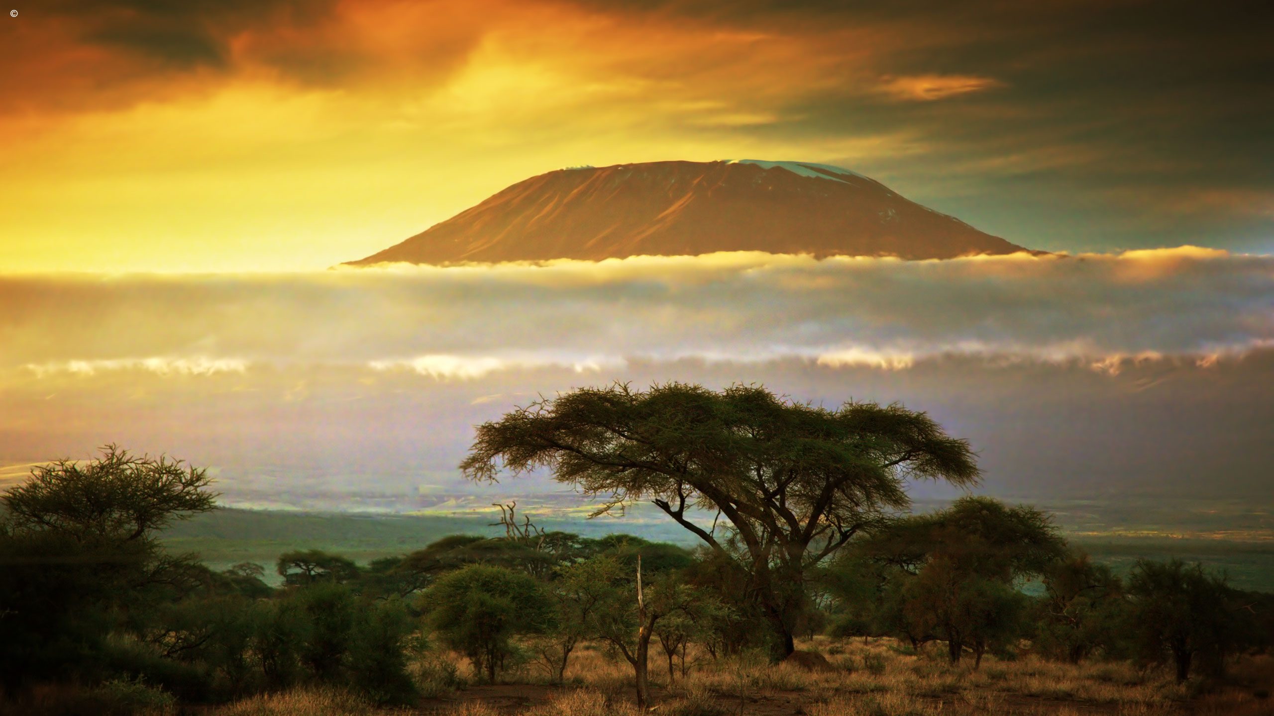 Luxury Kilimanjaro Climb Tours for 2026/2027 | Jacada Travel