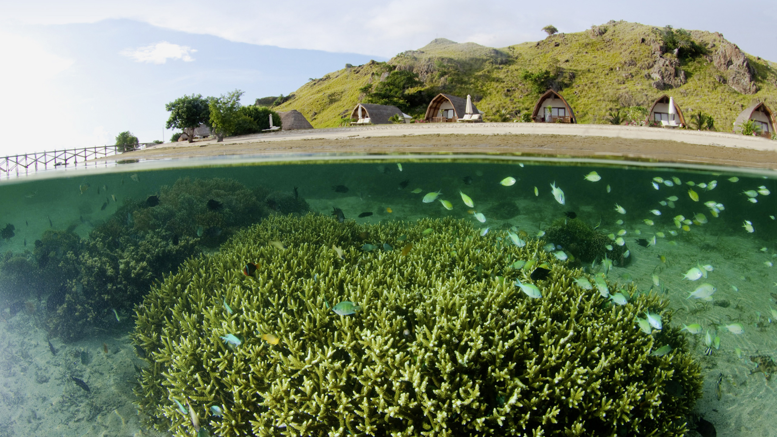 Komodo Resort & Diving Club