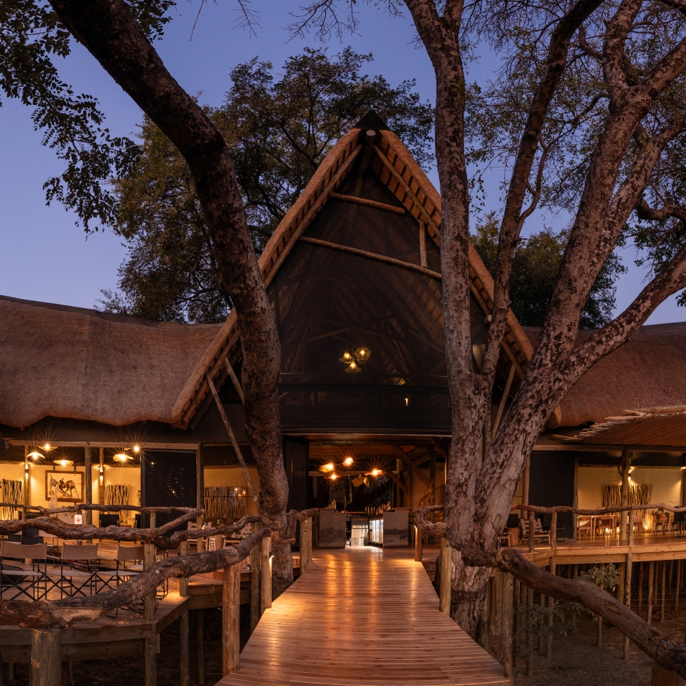 Wilderness Tubu Tree Camp