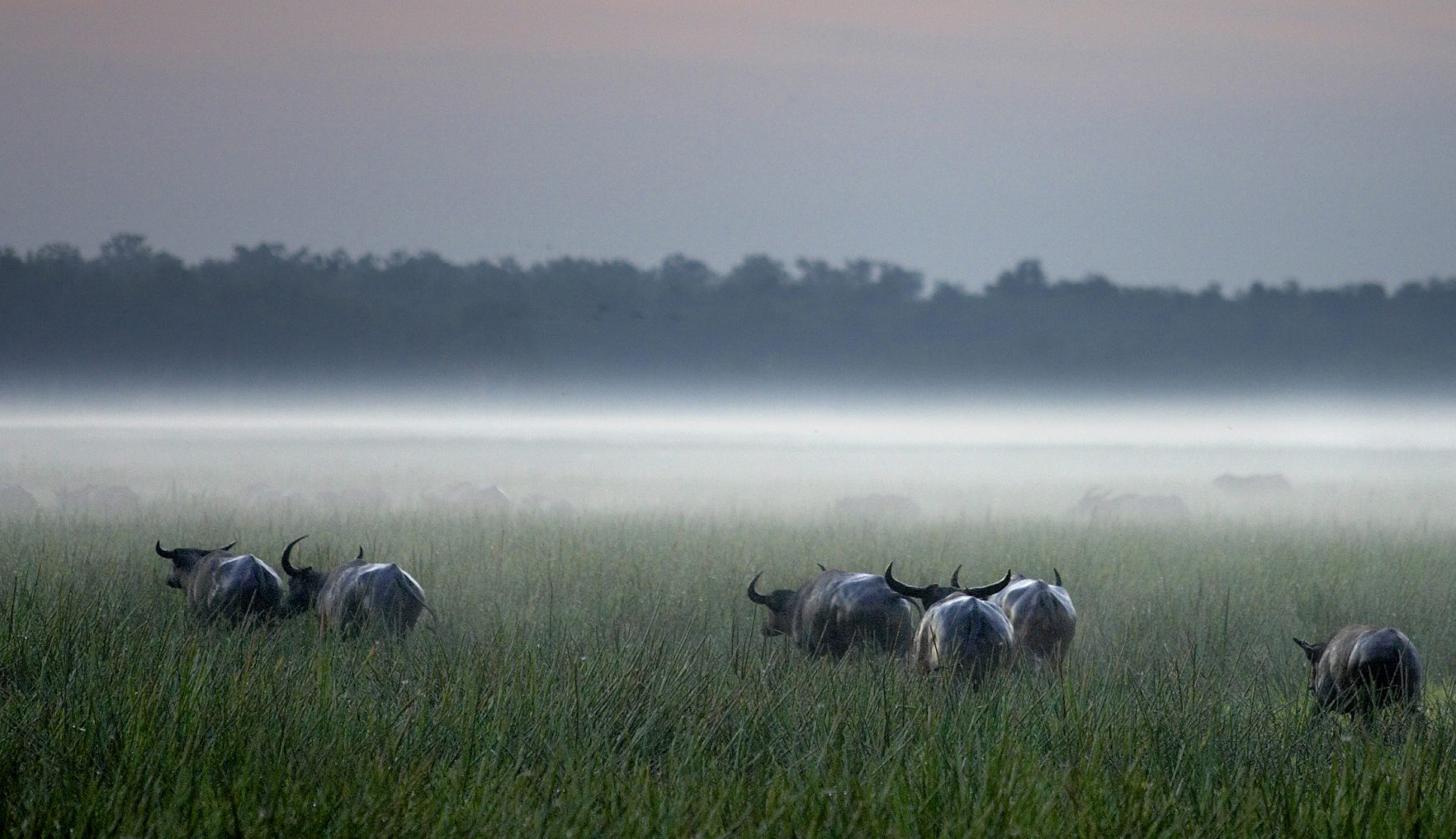 Bamurru Plains