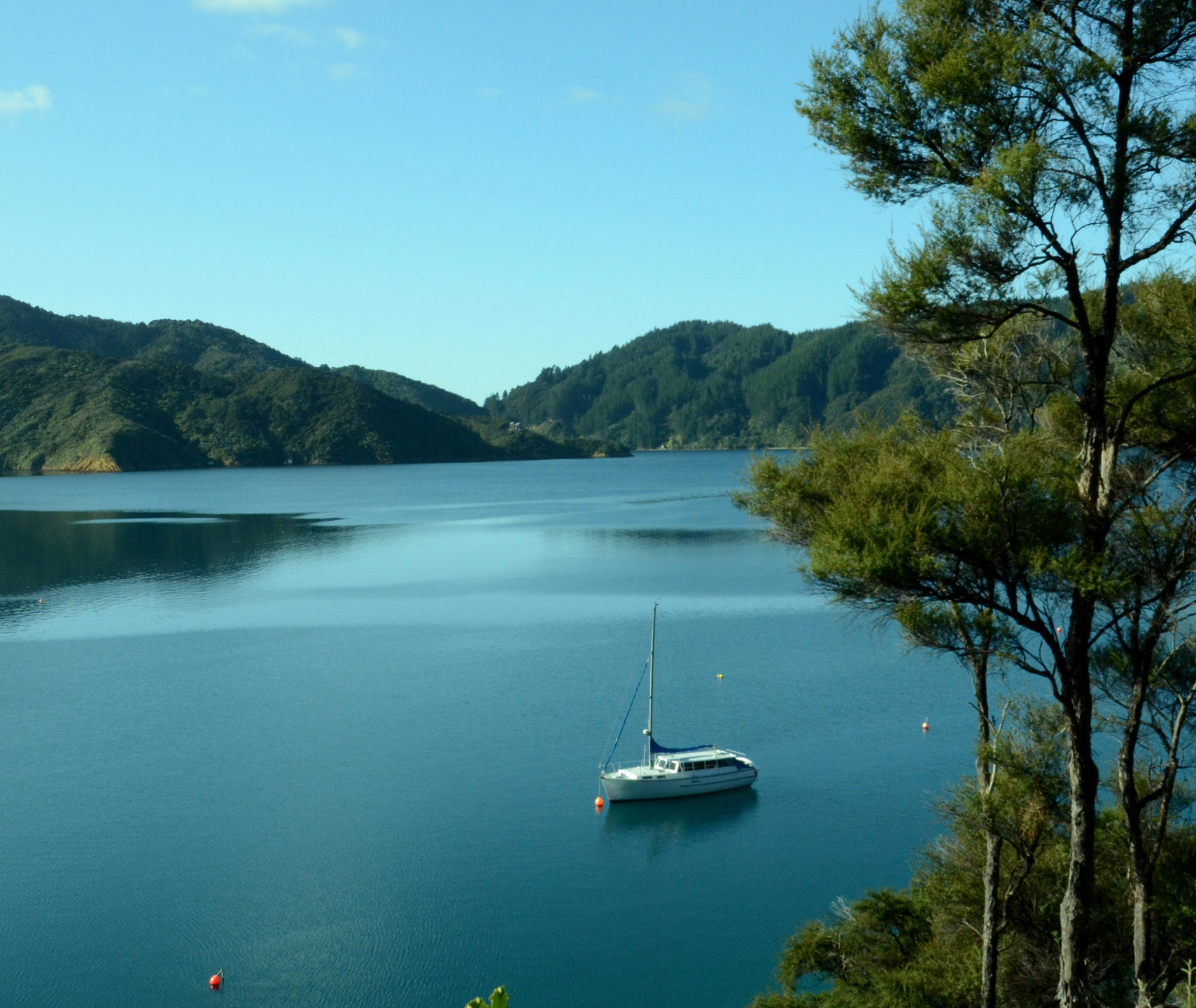 Bay of Many Coves