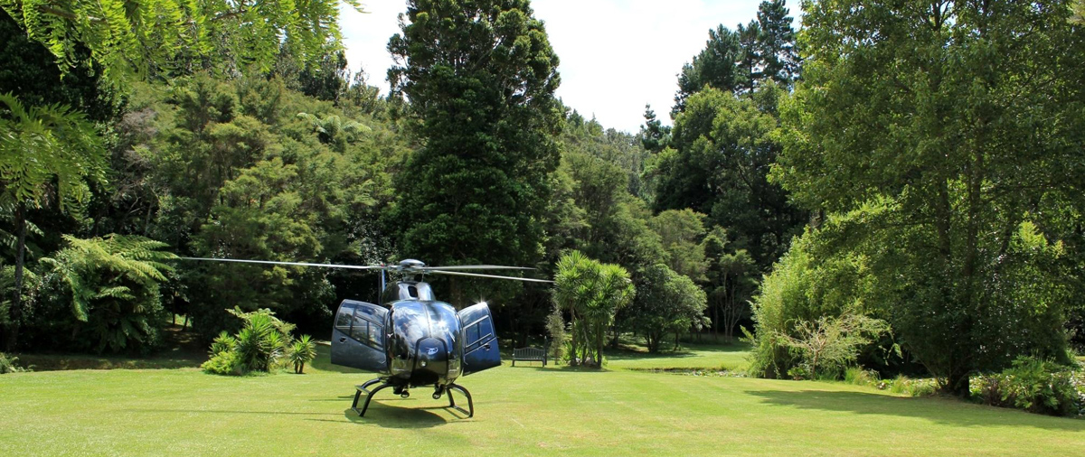 Bushland Park Lodge & Retreat