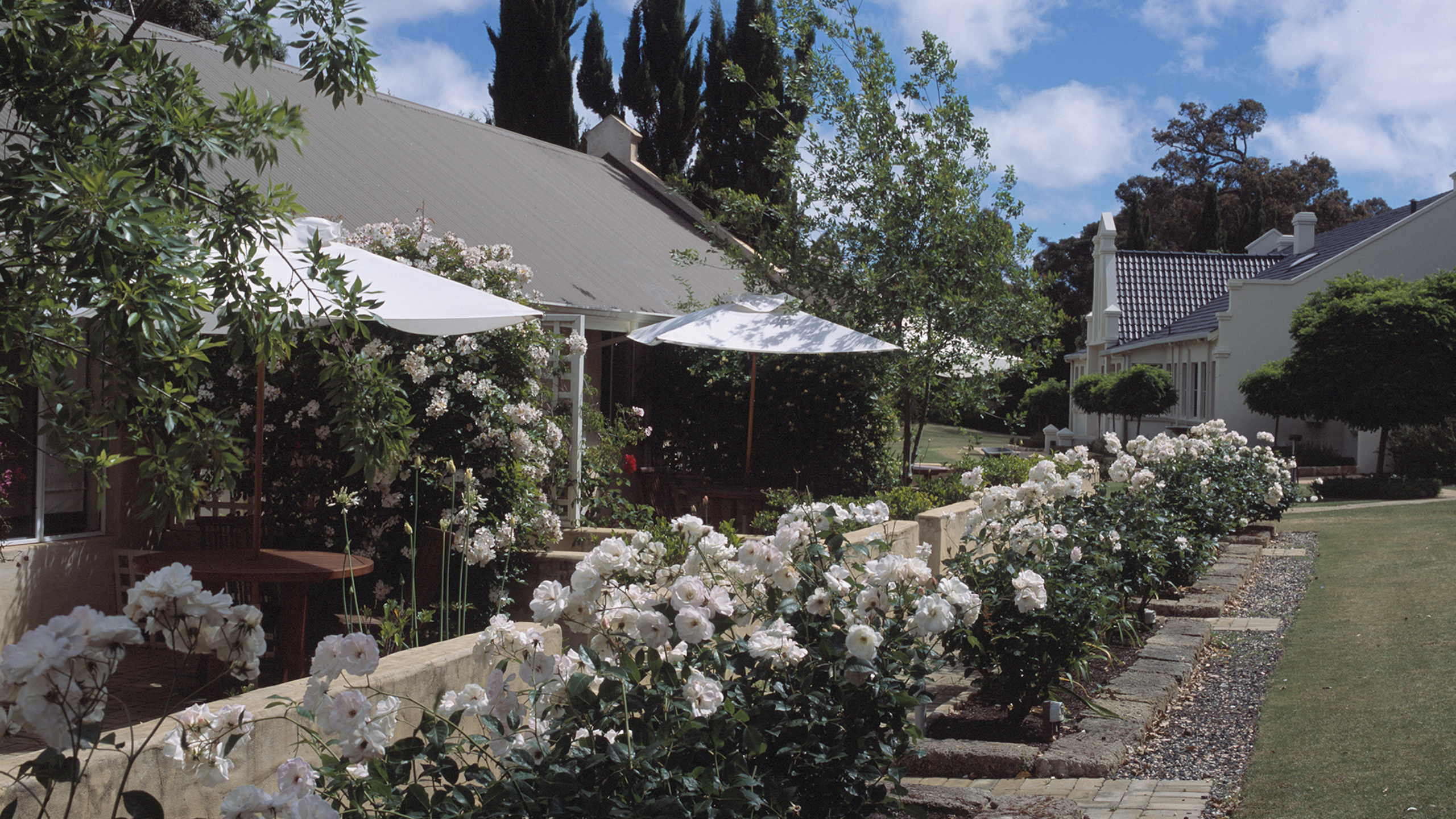 Cape Lodge