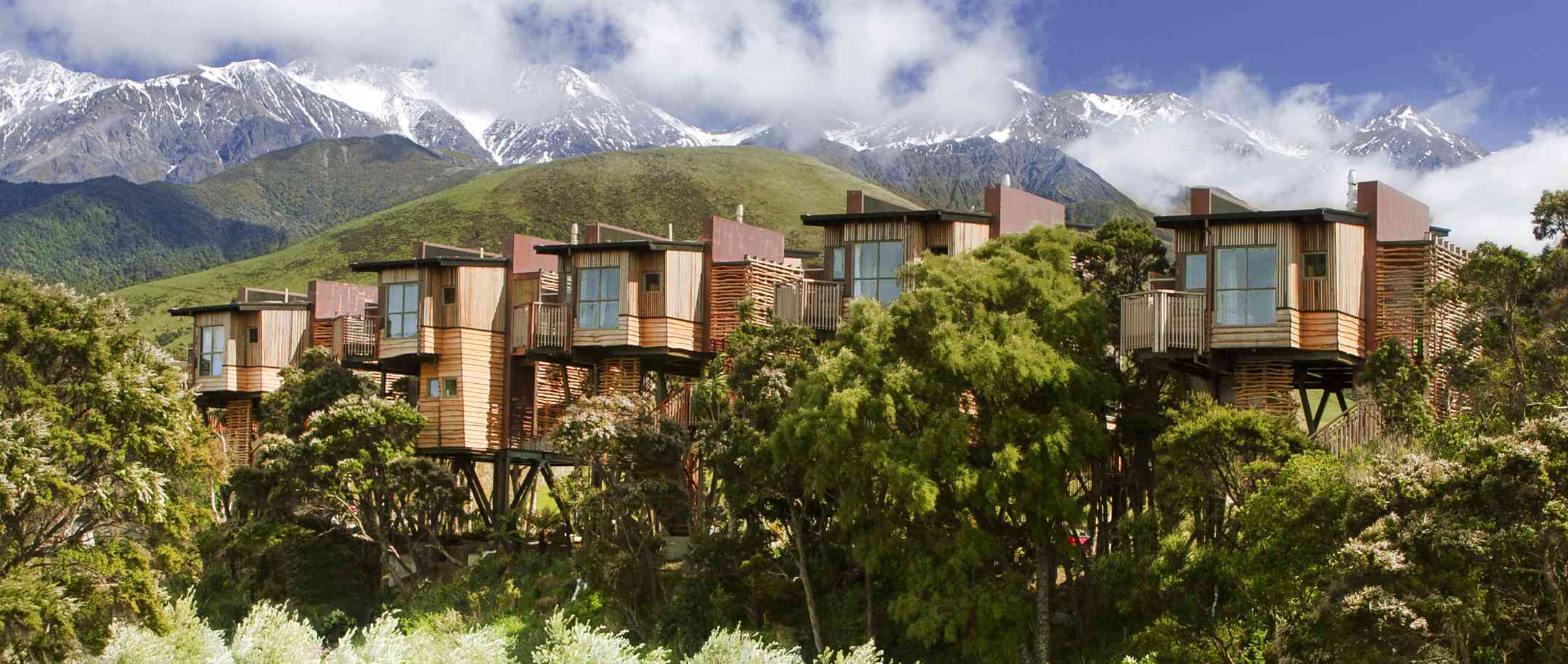Hapuku Lodge & Tree Houses