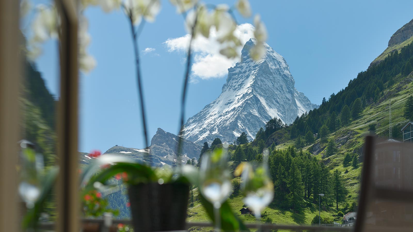 Mont Cervin Palace