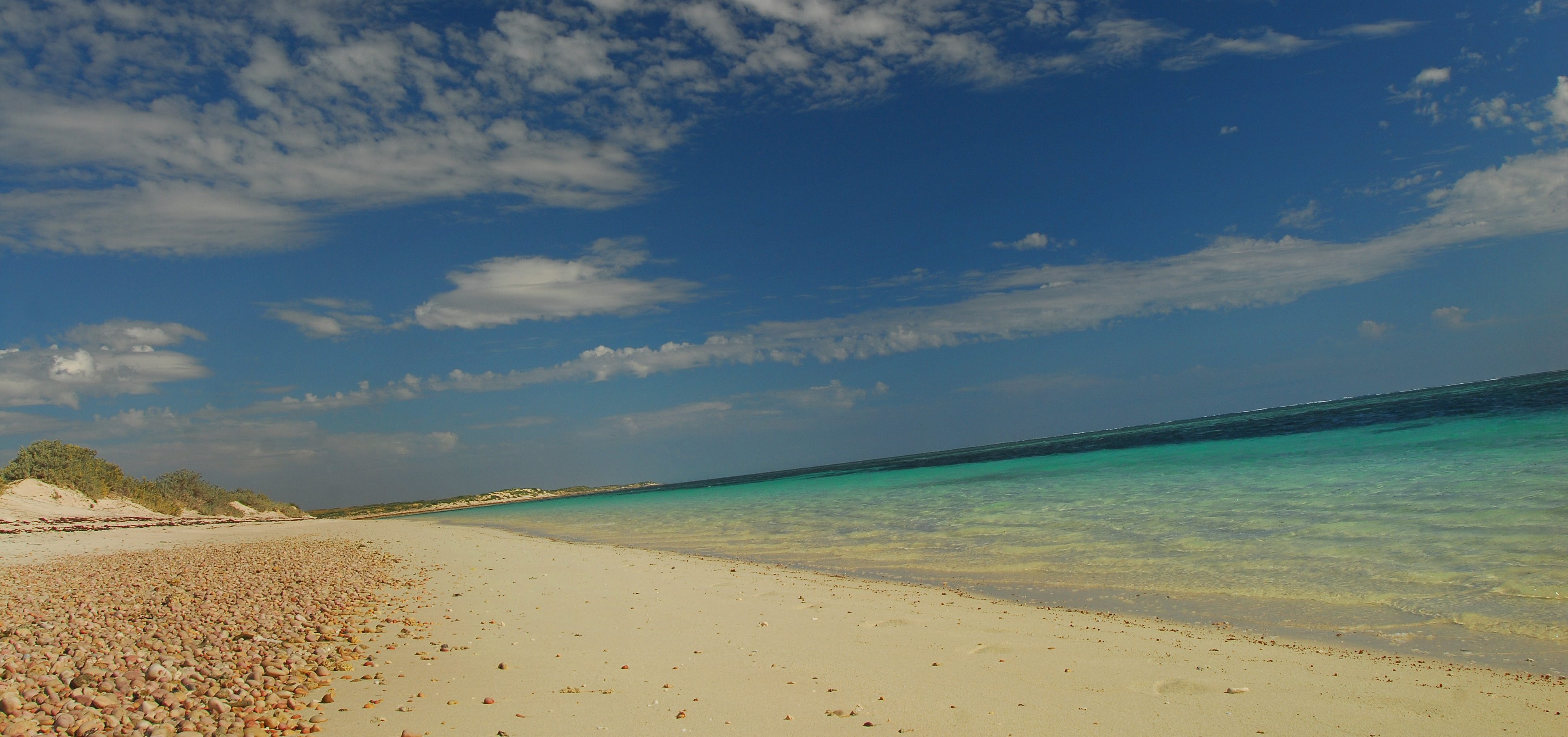 beach sal salis
