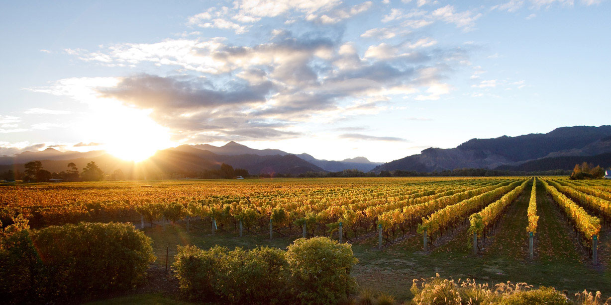 Vintners Retreat