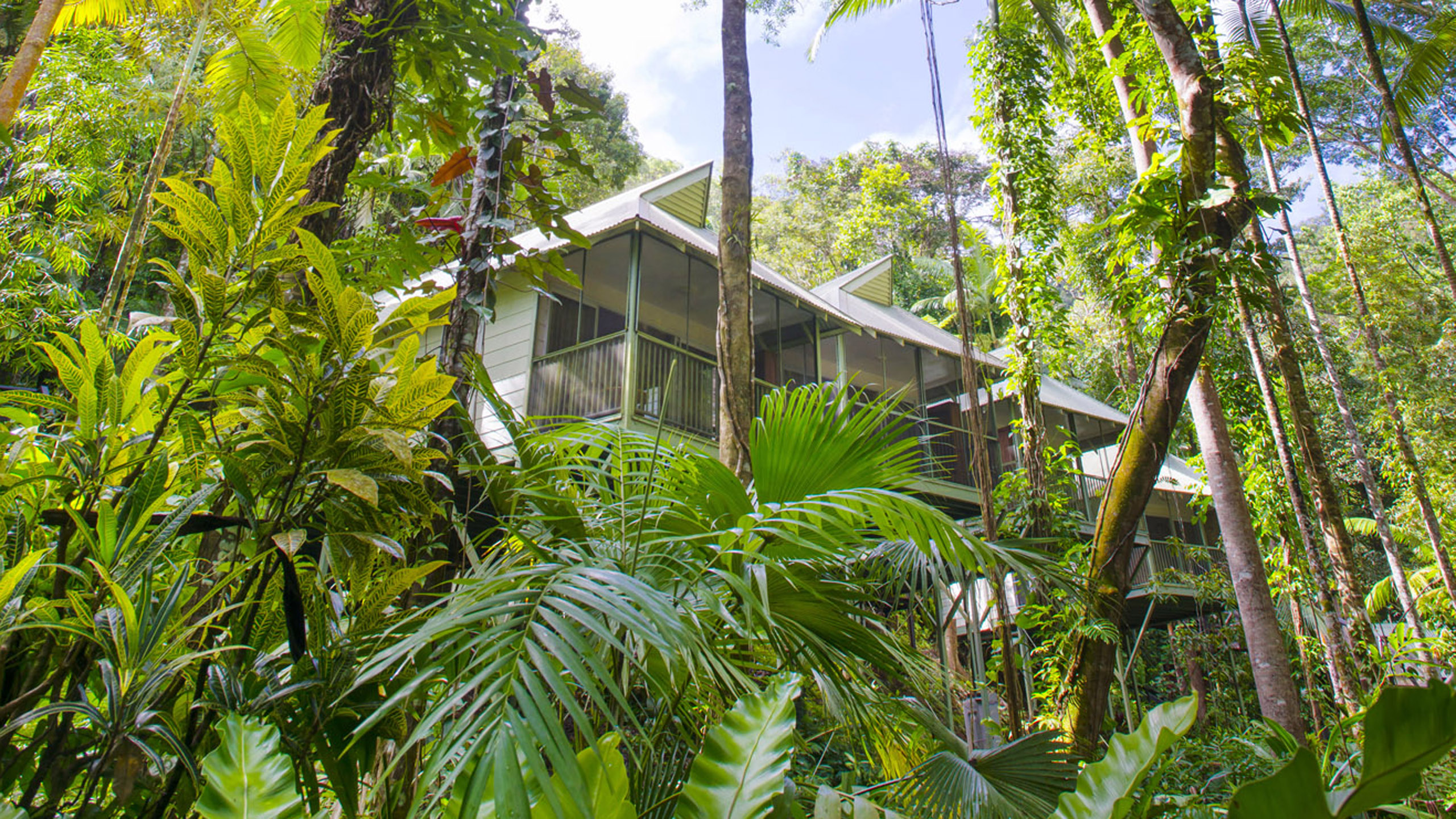 daintree-cabin
