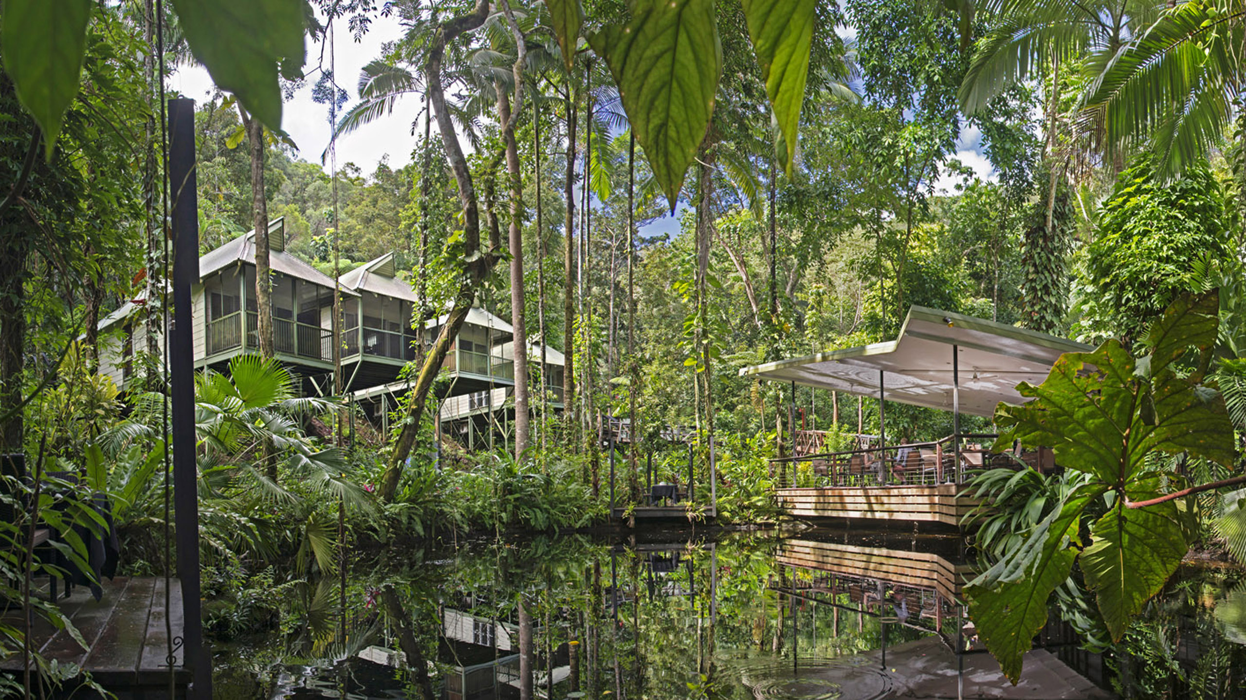 daintree-exterior