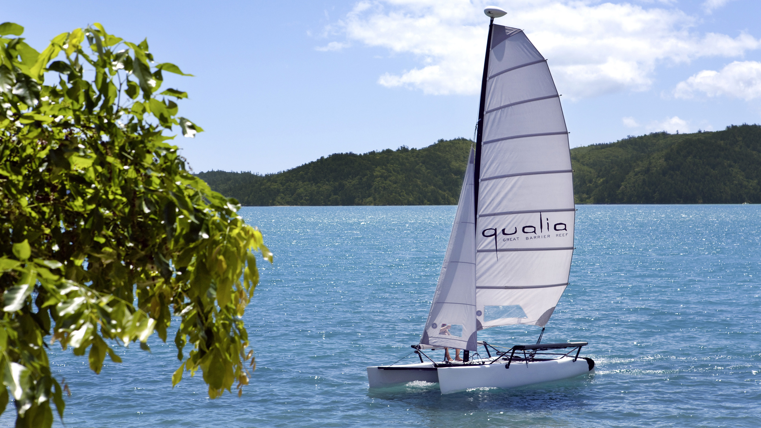 Qualia