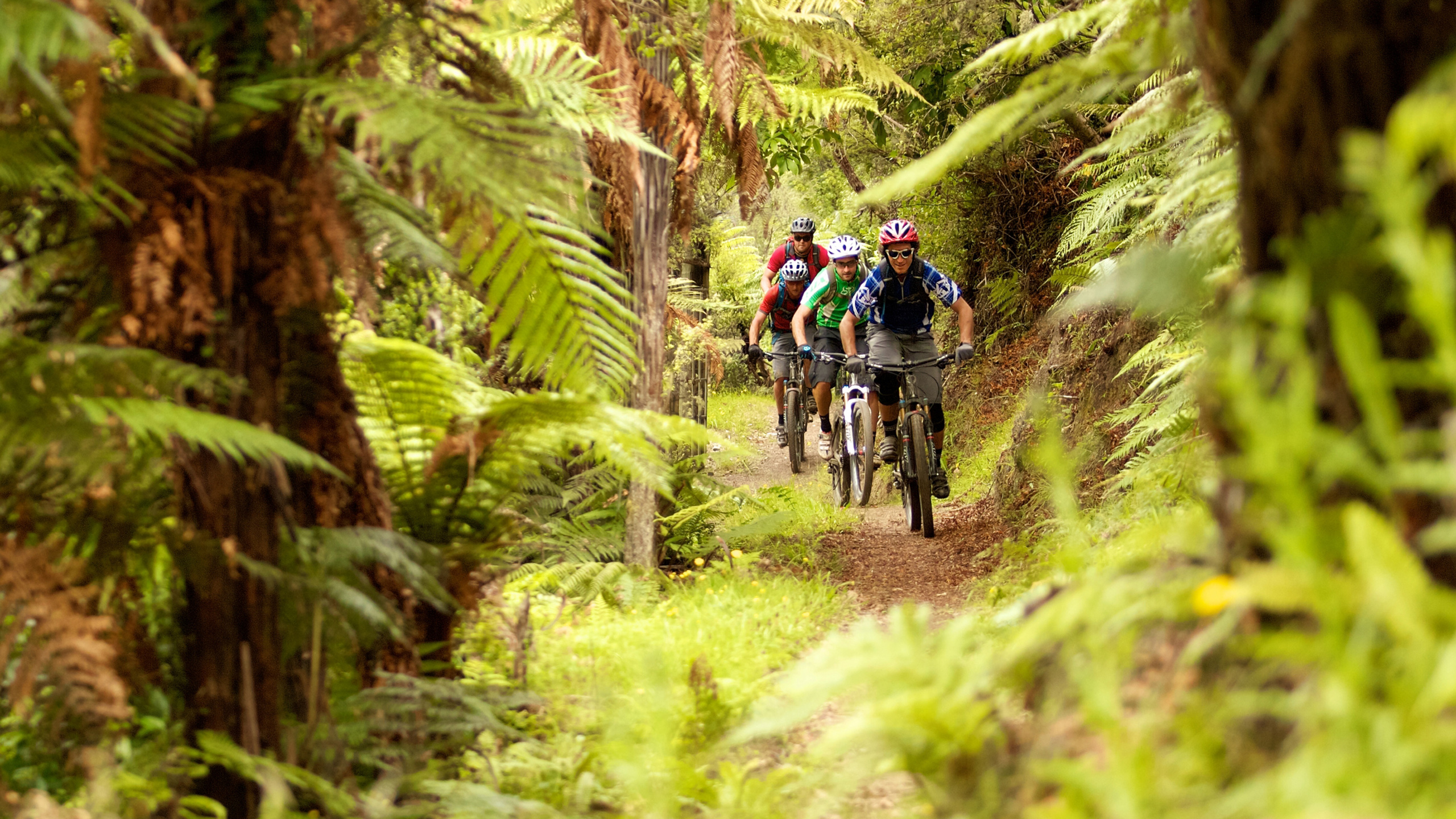 treetops-cycling